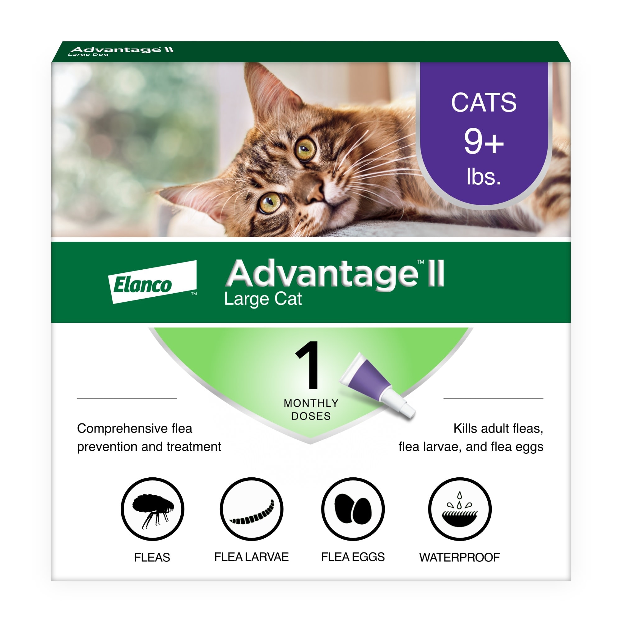 Advantage cat flea hot sale shampoo