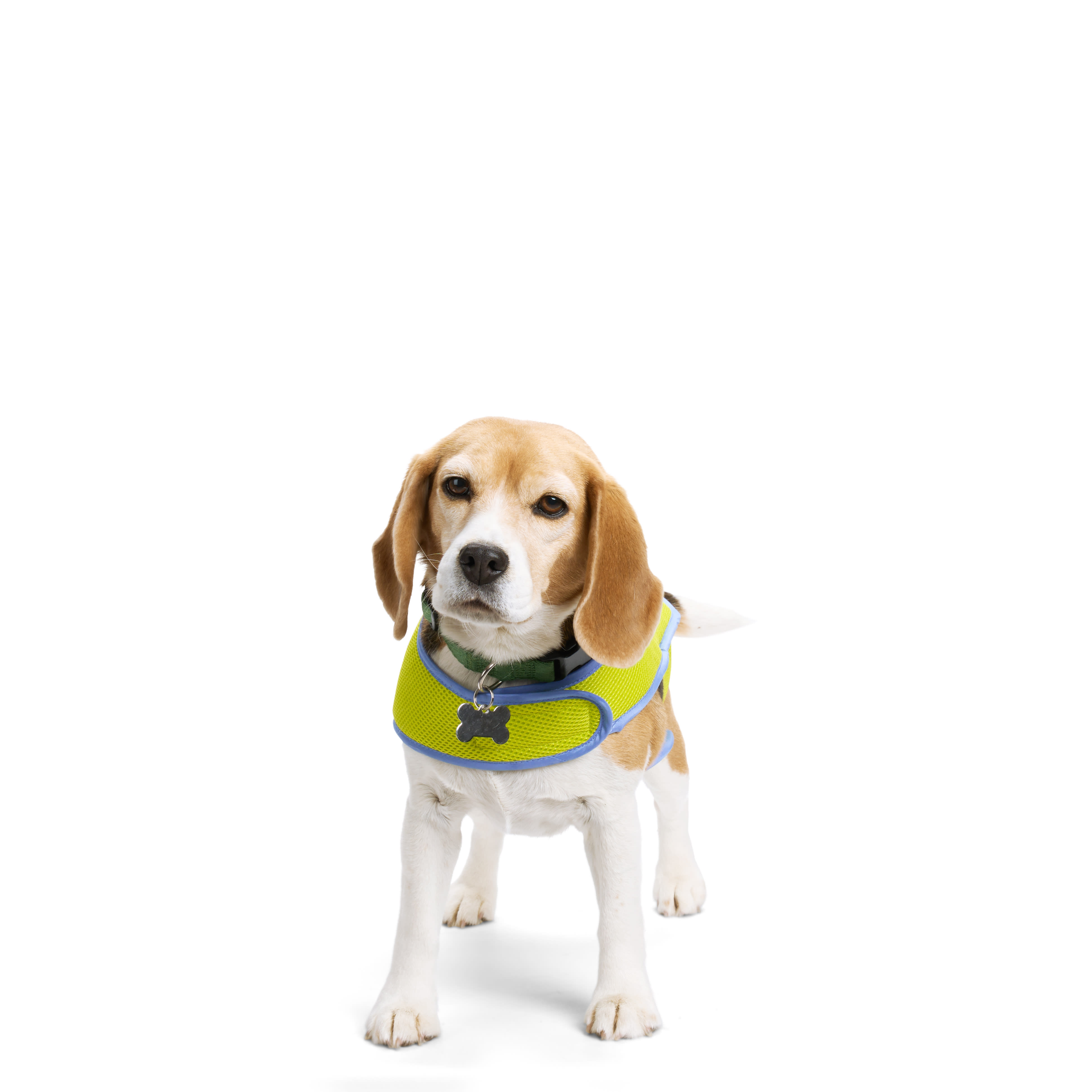 Petco 2025 cooling vest