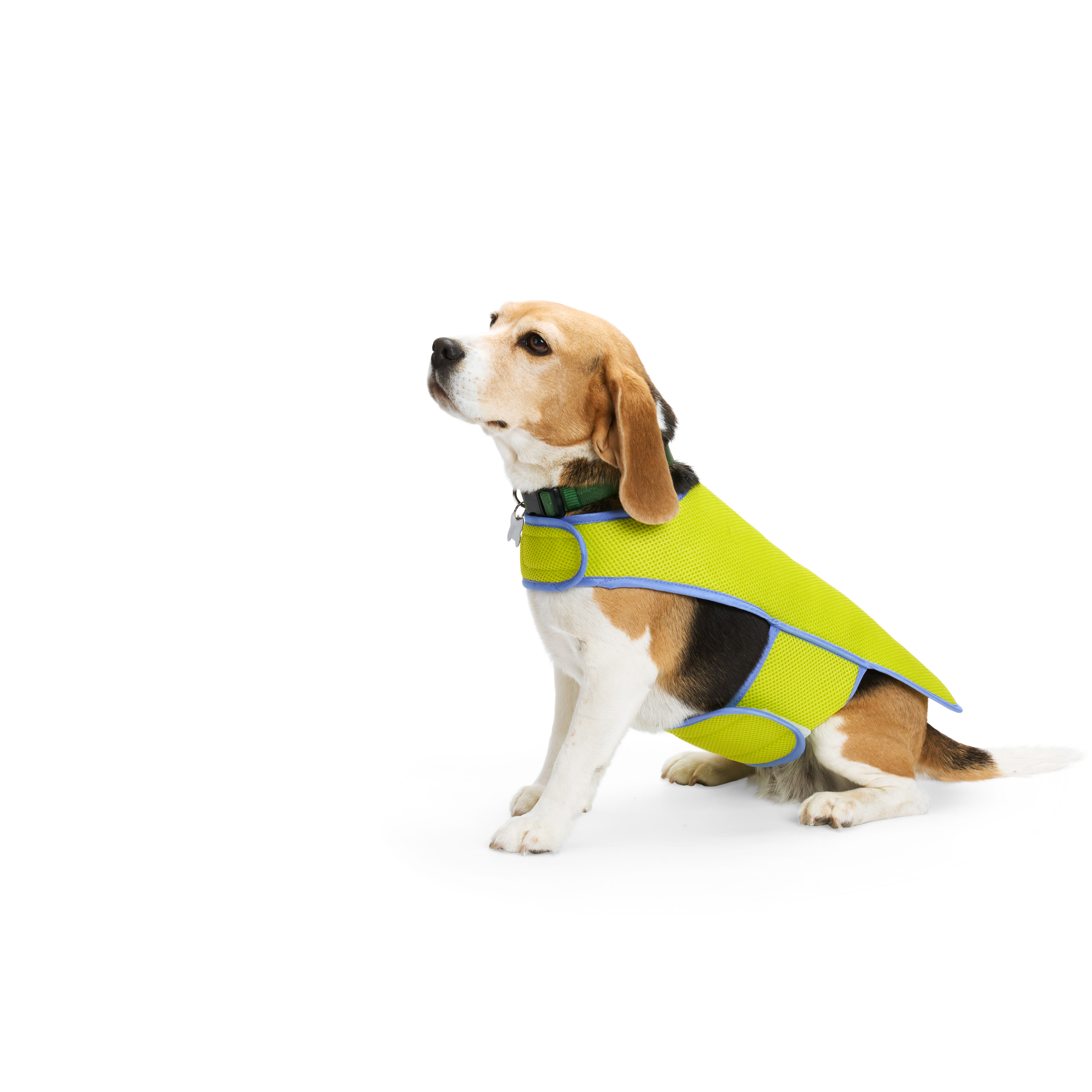 Petco 2025 cooling vest