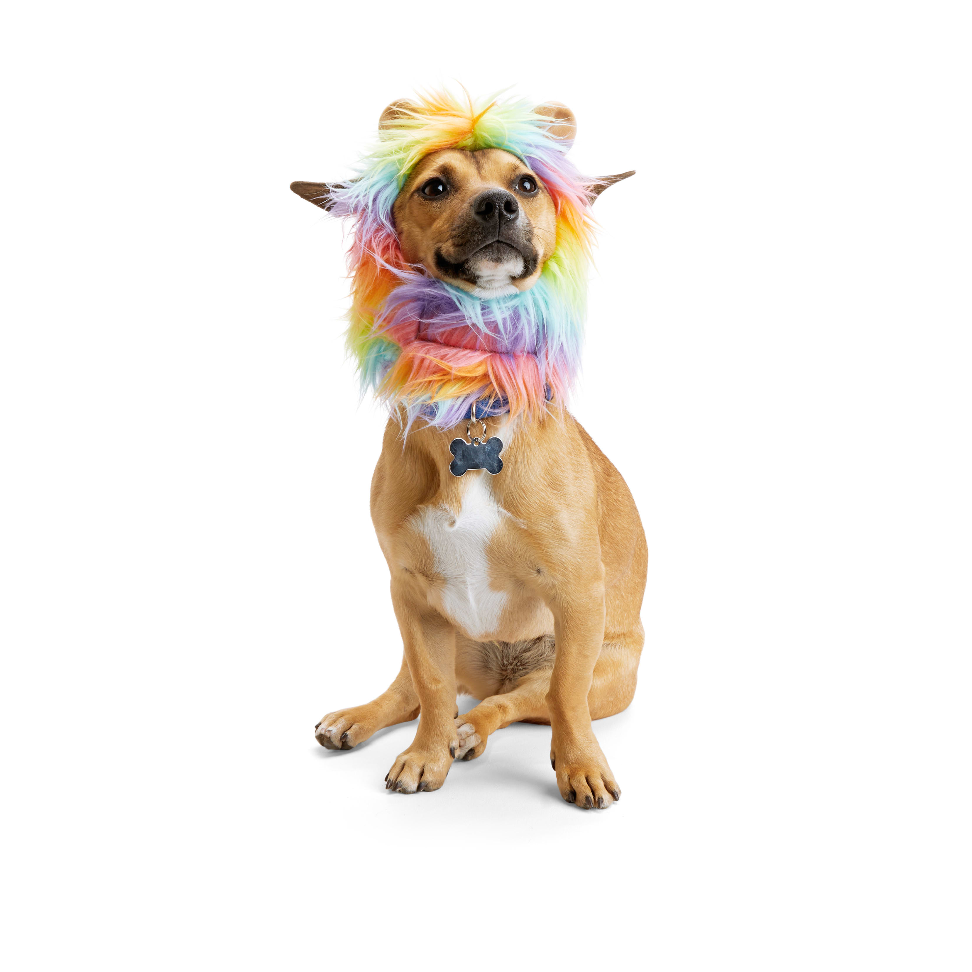 YOULY Pride Rainbow Lion Mane Dog Headpiece, X-Small/Small | Petco