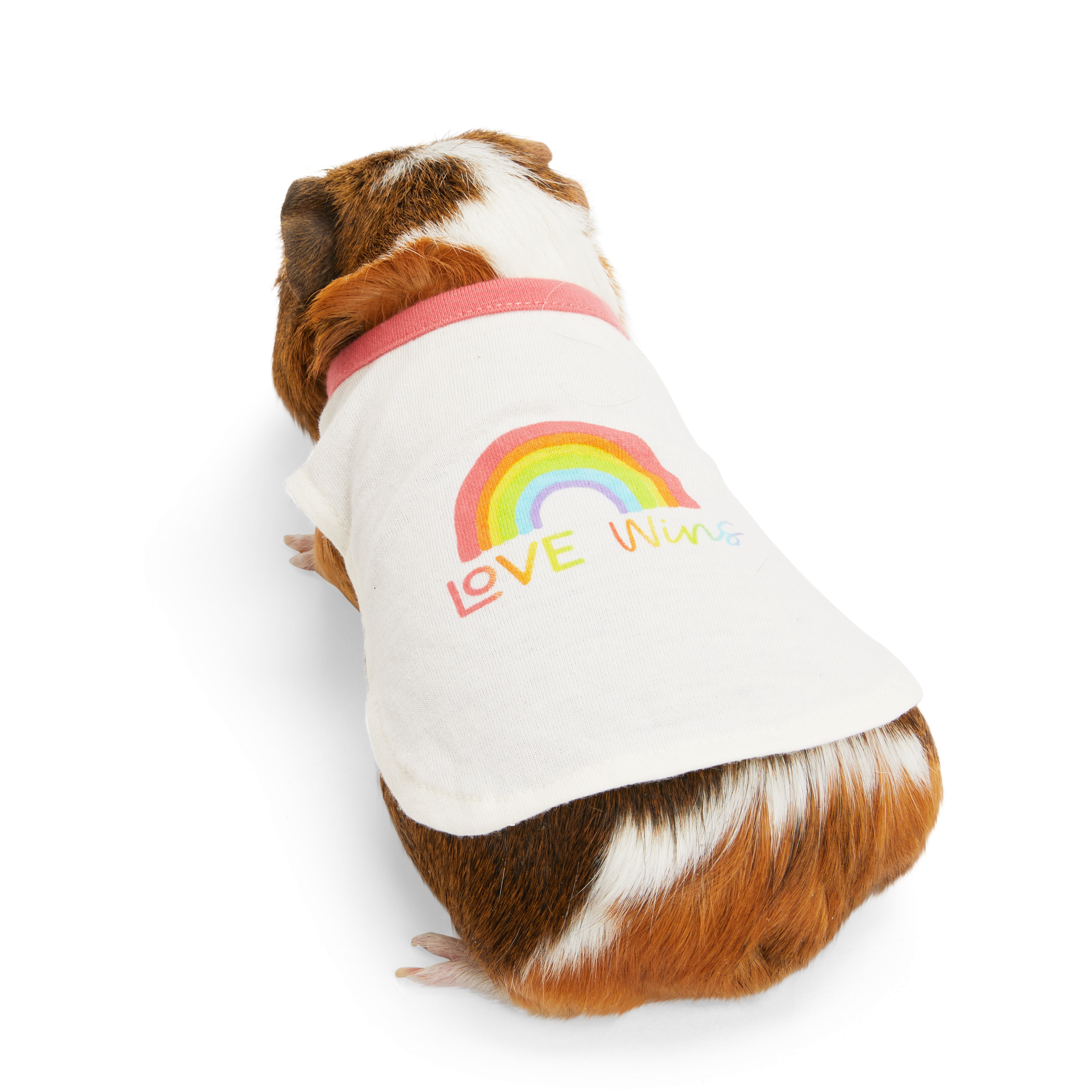 Dog pride outlet gear