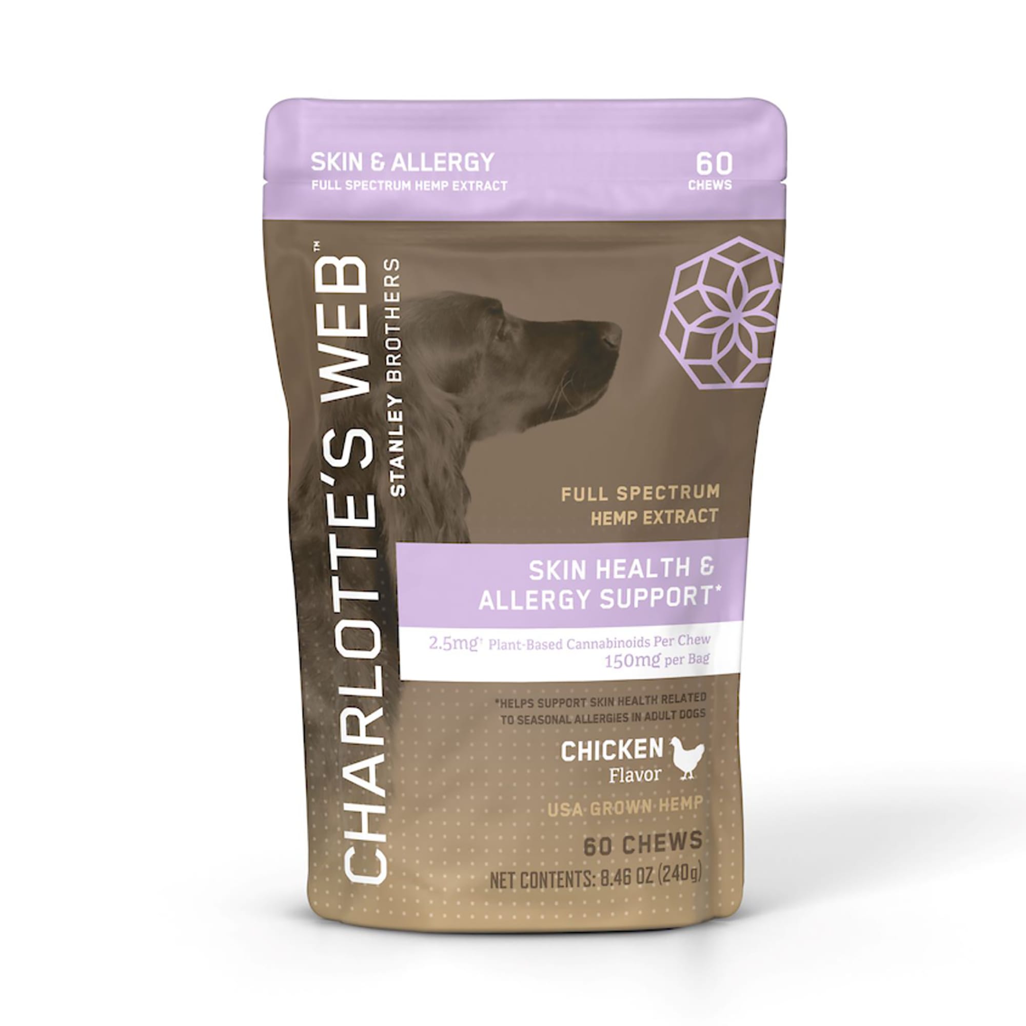 Dog treats for store dogs with allergies