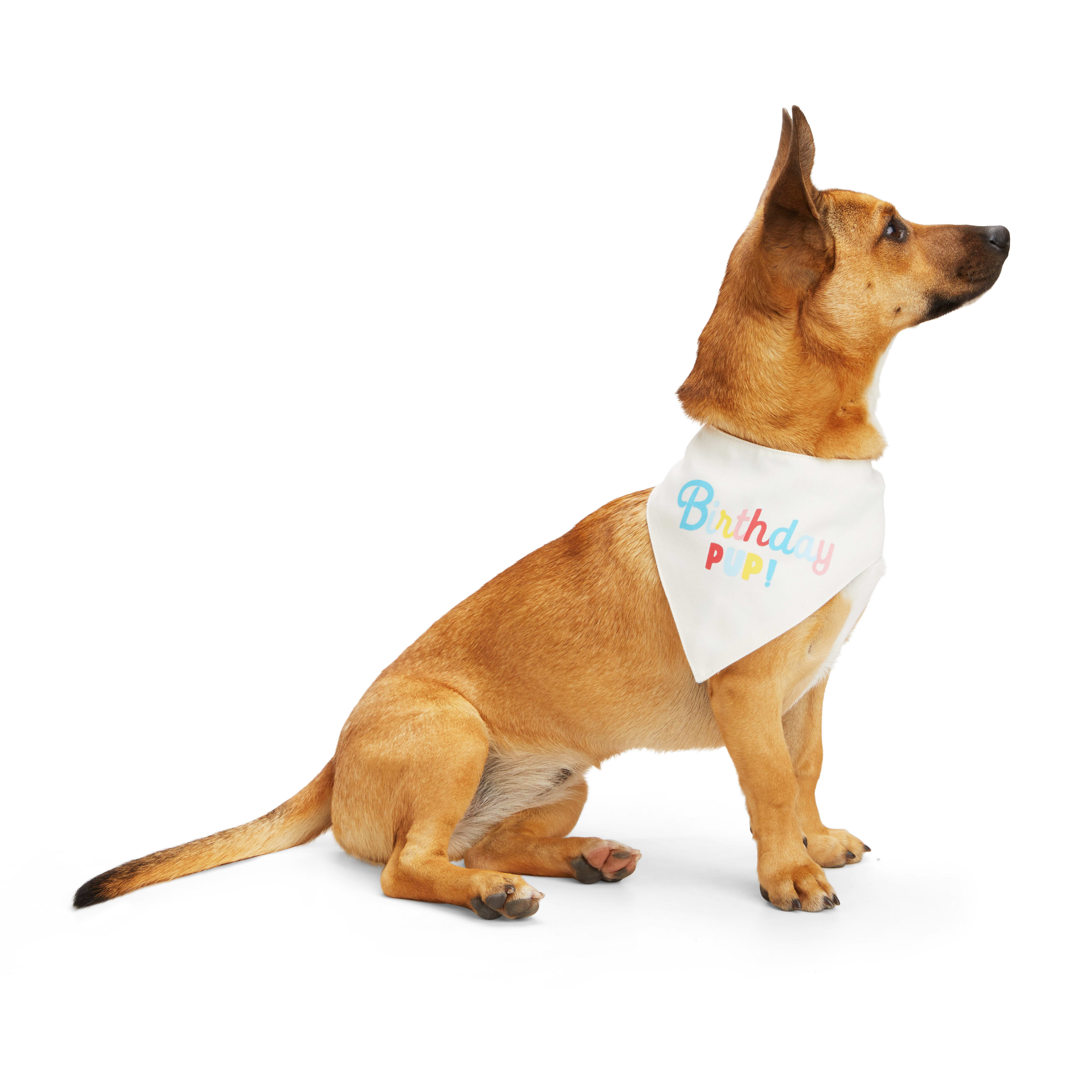 Adopt me 2024 bandana petco