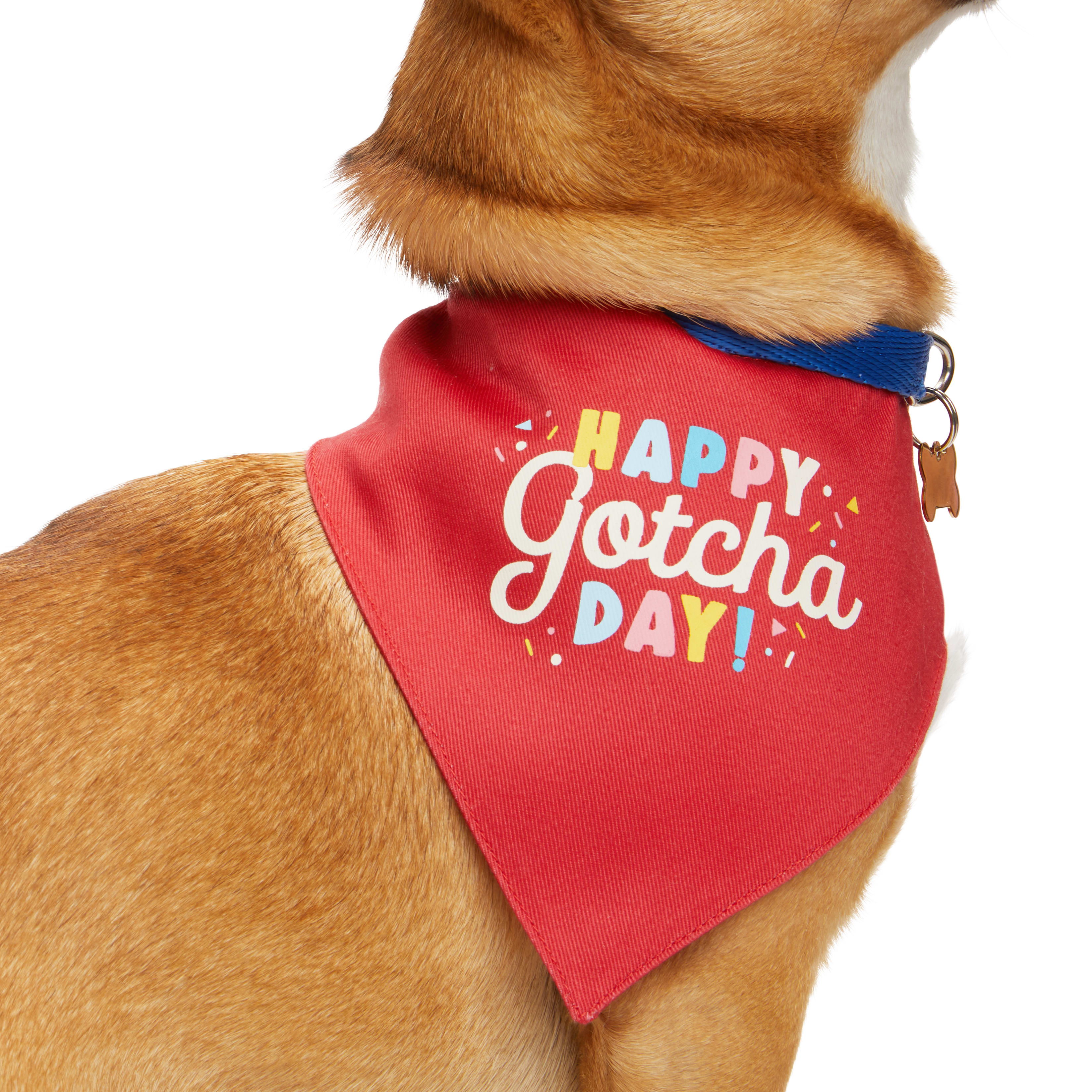 Happy gotcha day dog shop bandana