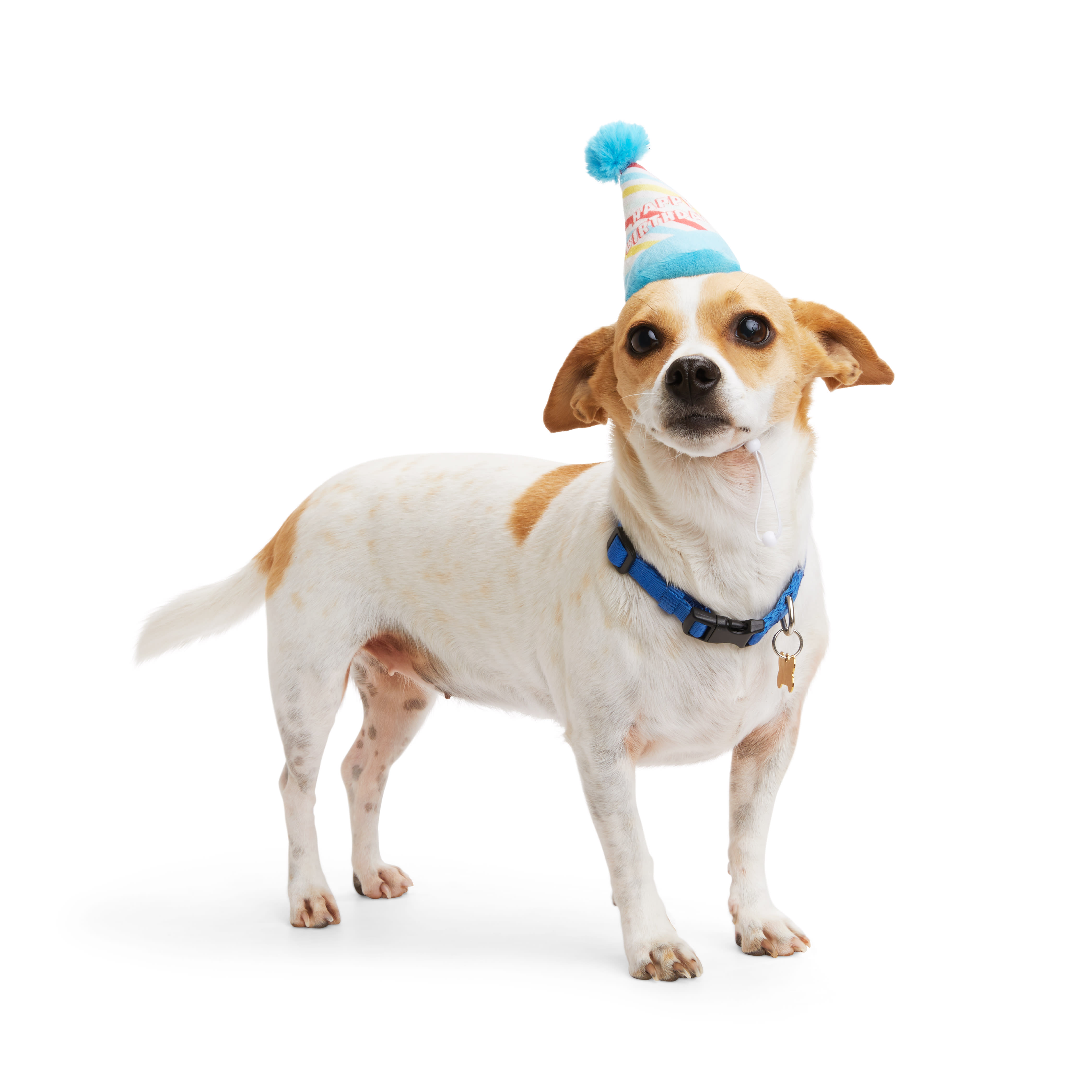 Hat with clearance dog on it