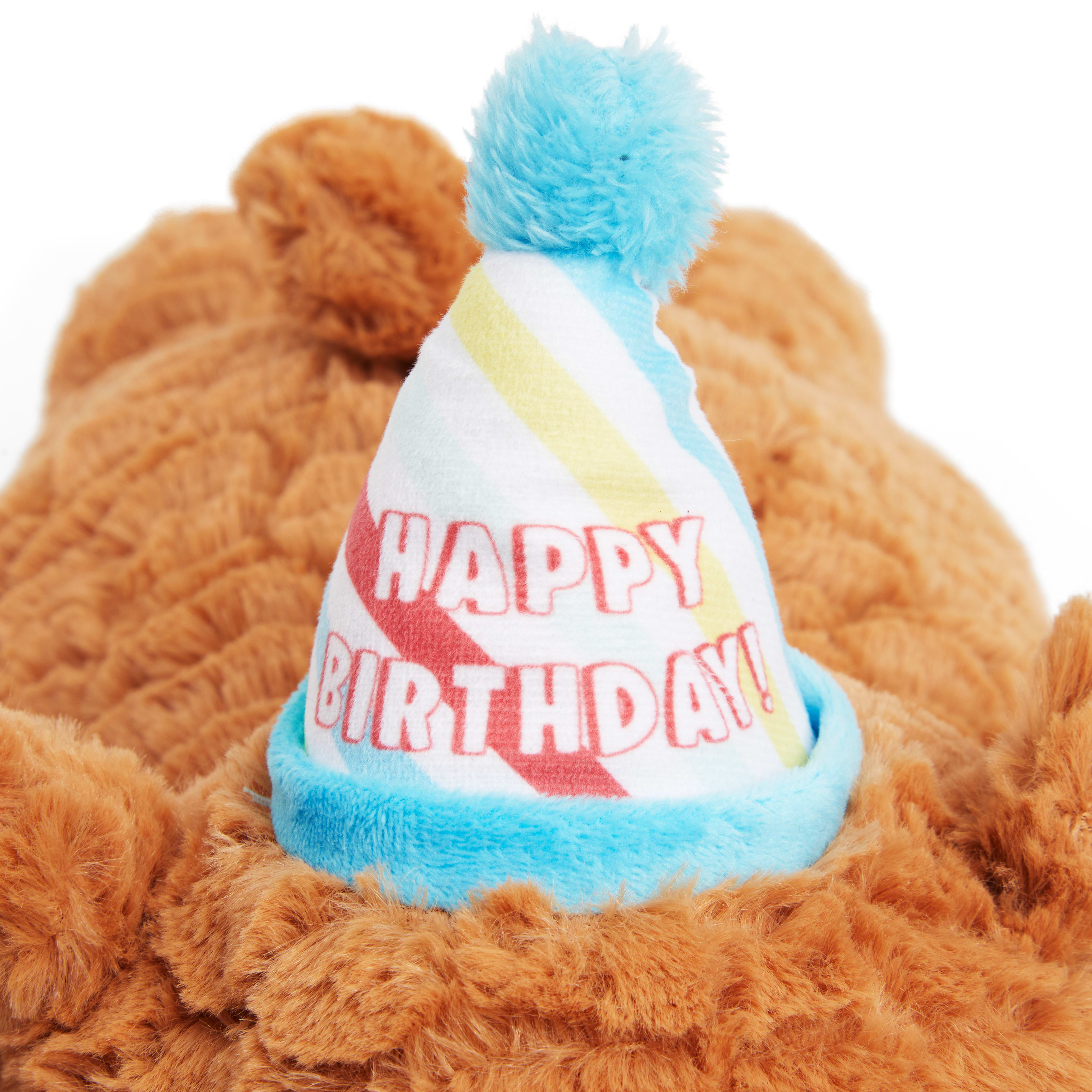 YOULY Birthday Snuggles Plush Dog Toy XX Large