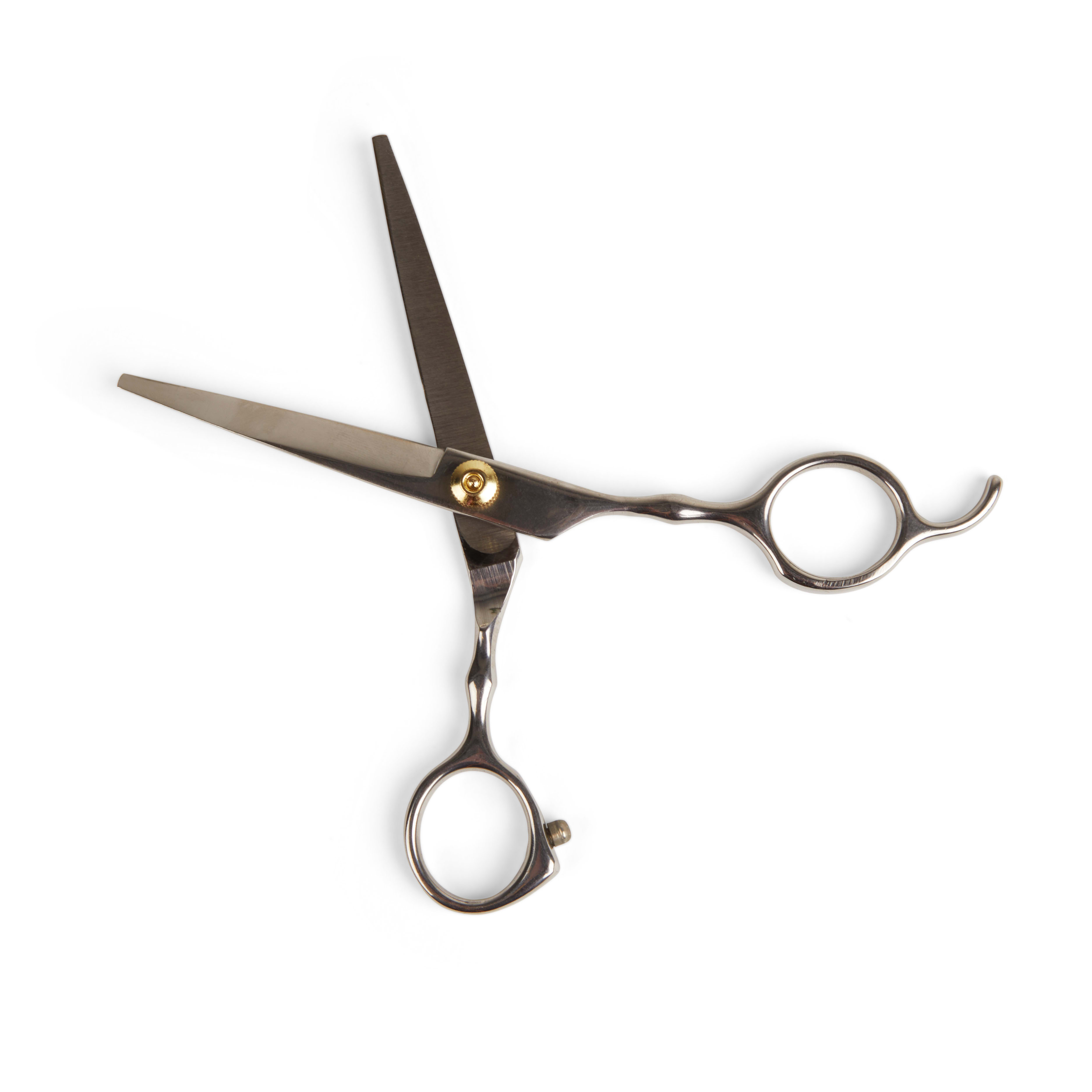 Well & Good Thinning Dog Shears | Petco