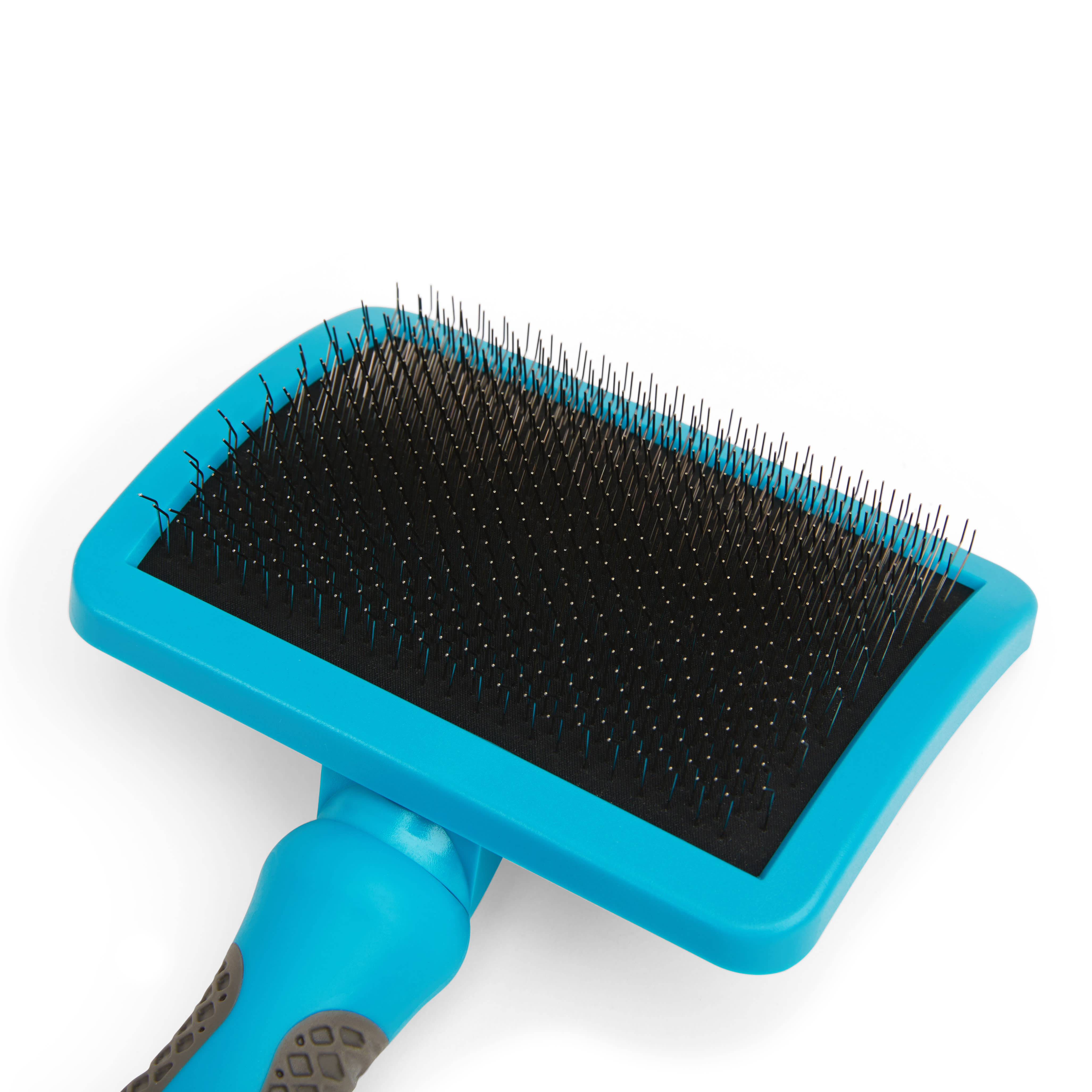 Paw print best sale petco brush