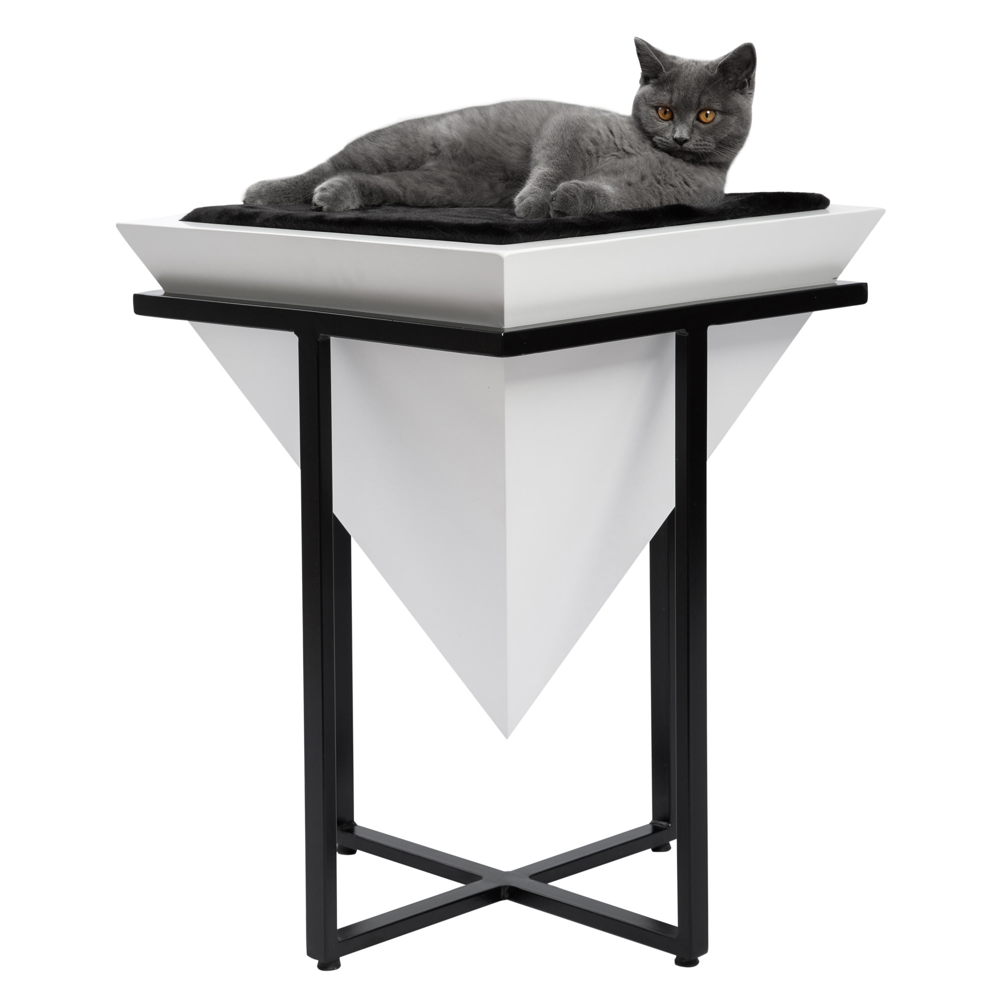 Elevated cat store bed