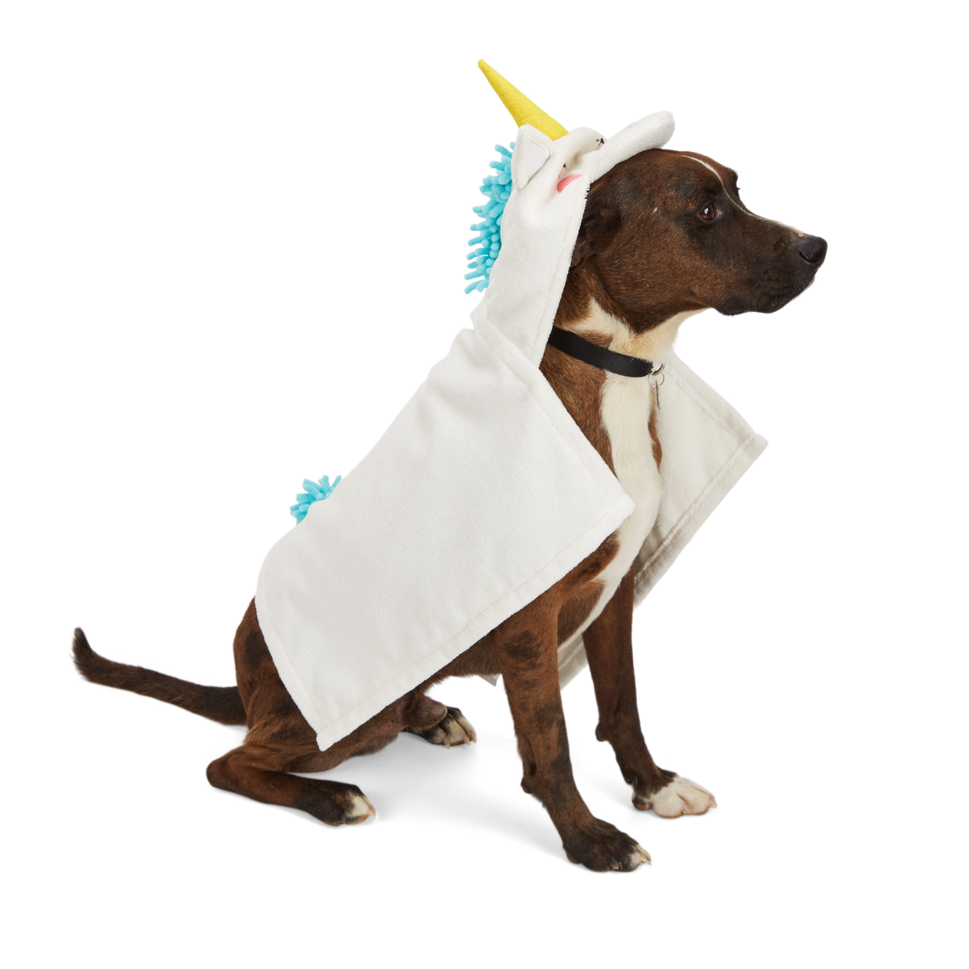 Dog Bath Petco