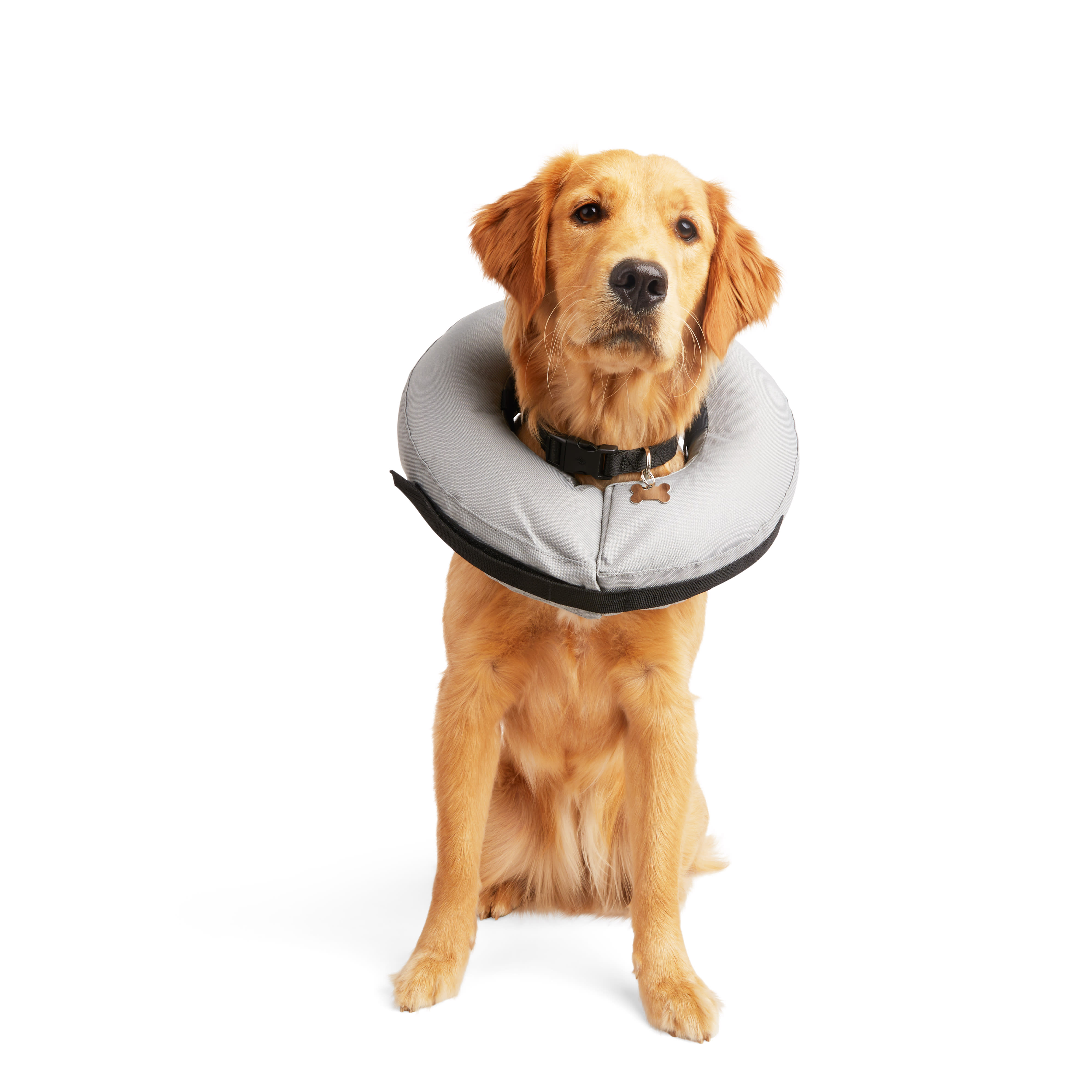 Inflatable pet hot sale cone