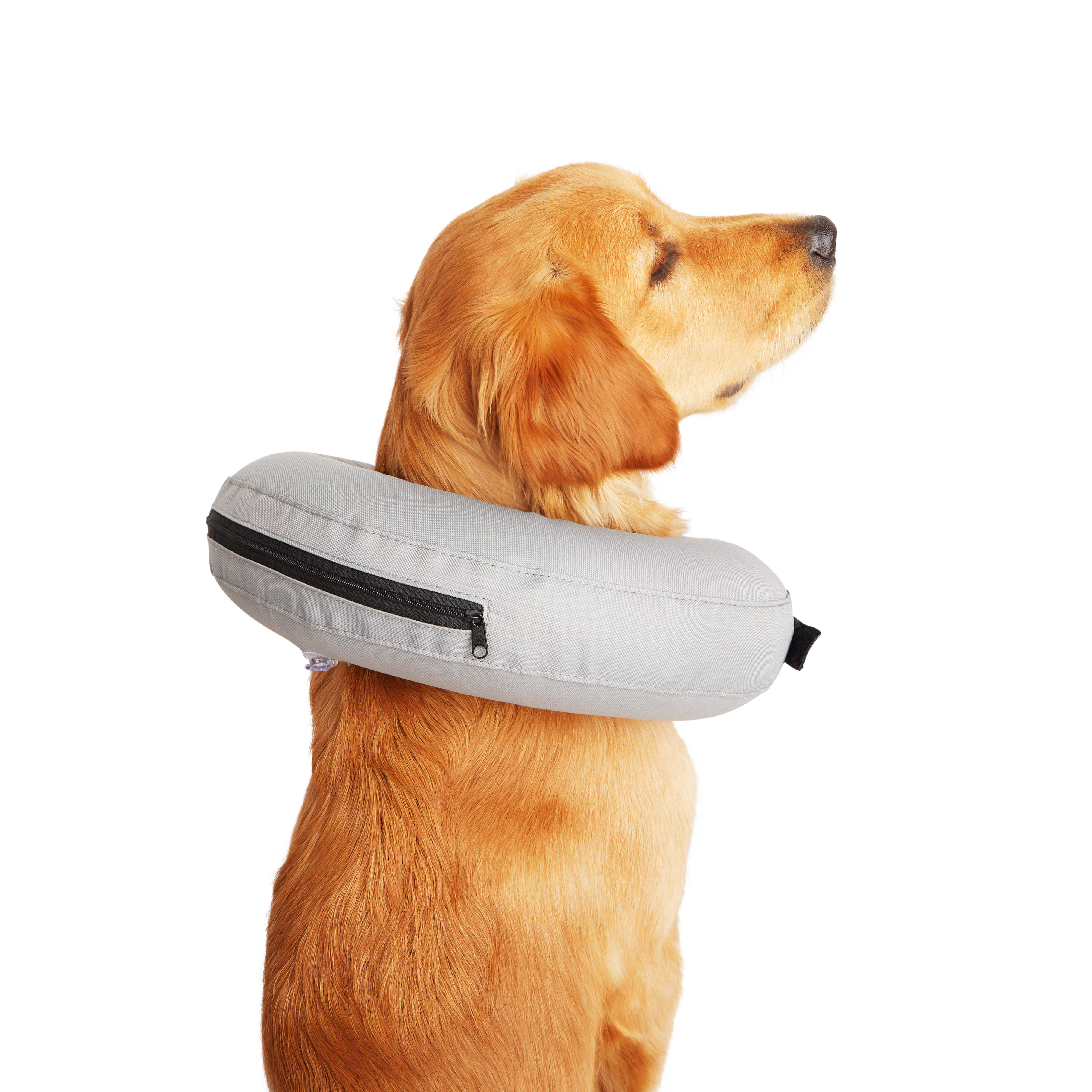 Blow up outlet dog cone collar