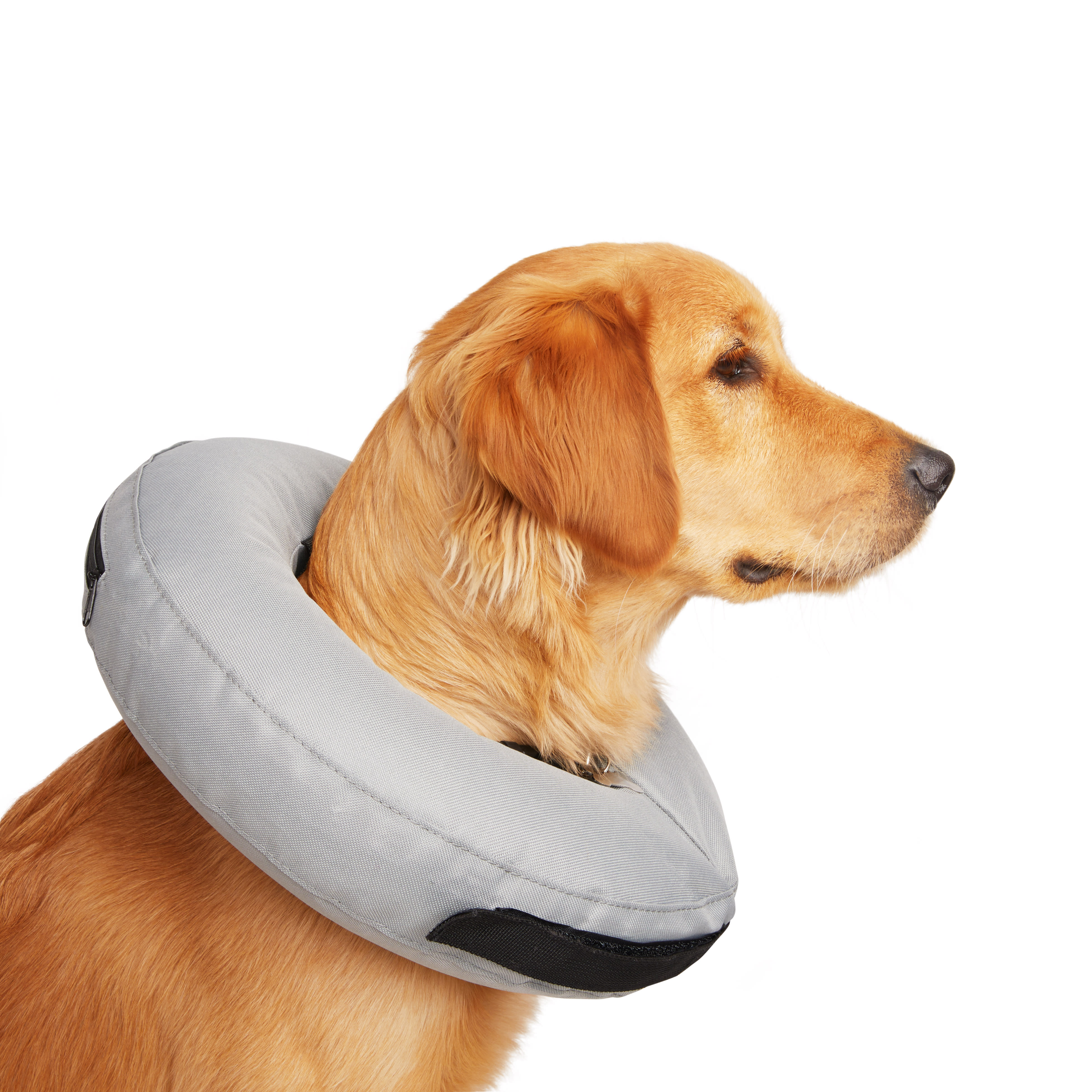 Well & Good Inflatable Collar for Dogs and Cats, Large/ X-Large