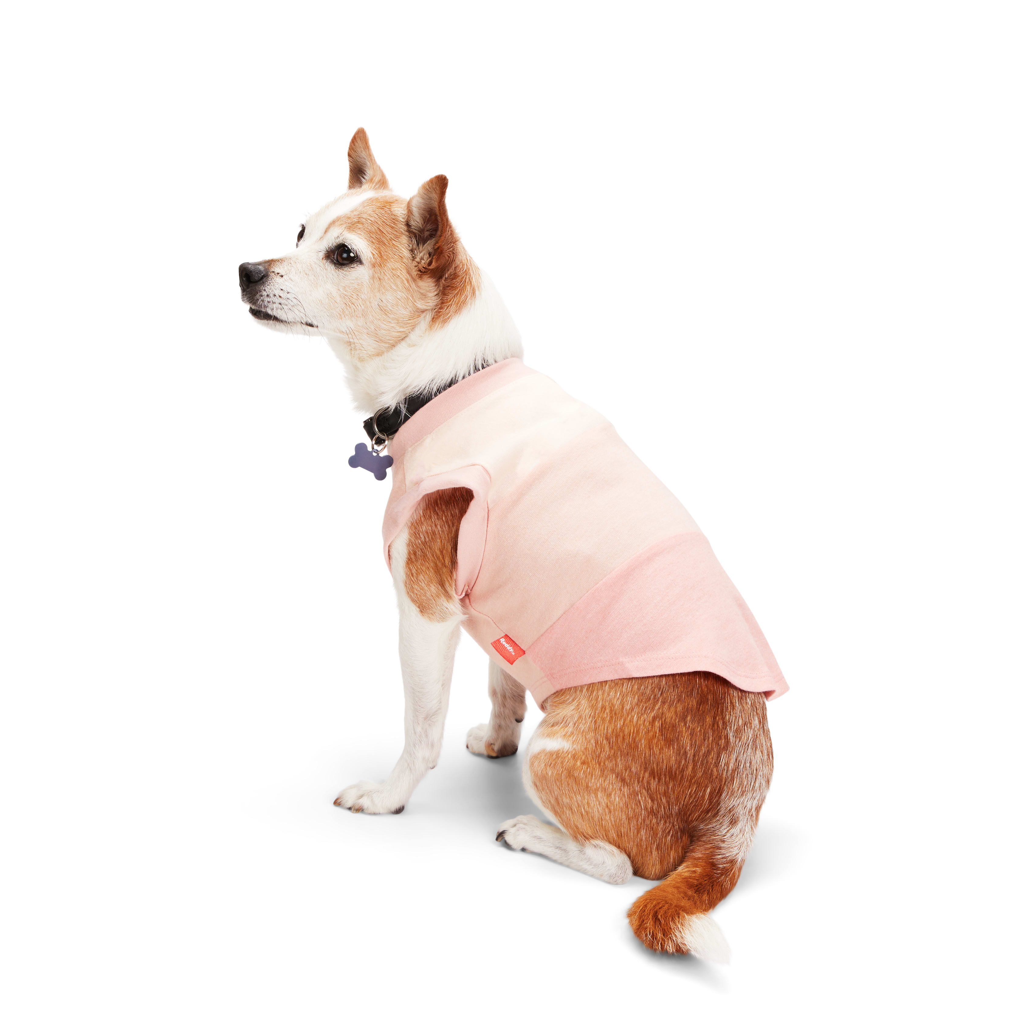 Reddy 2024 dog parka