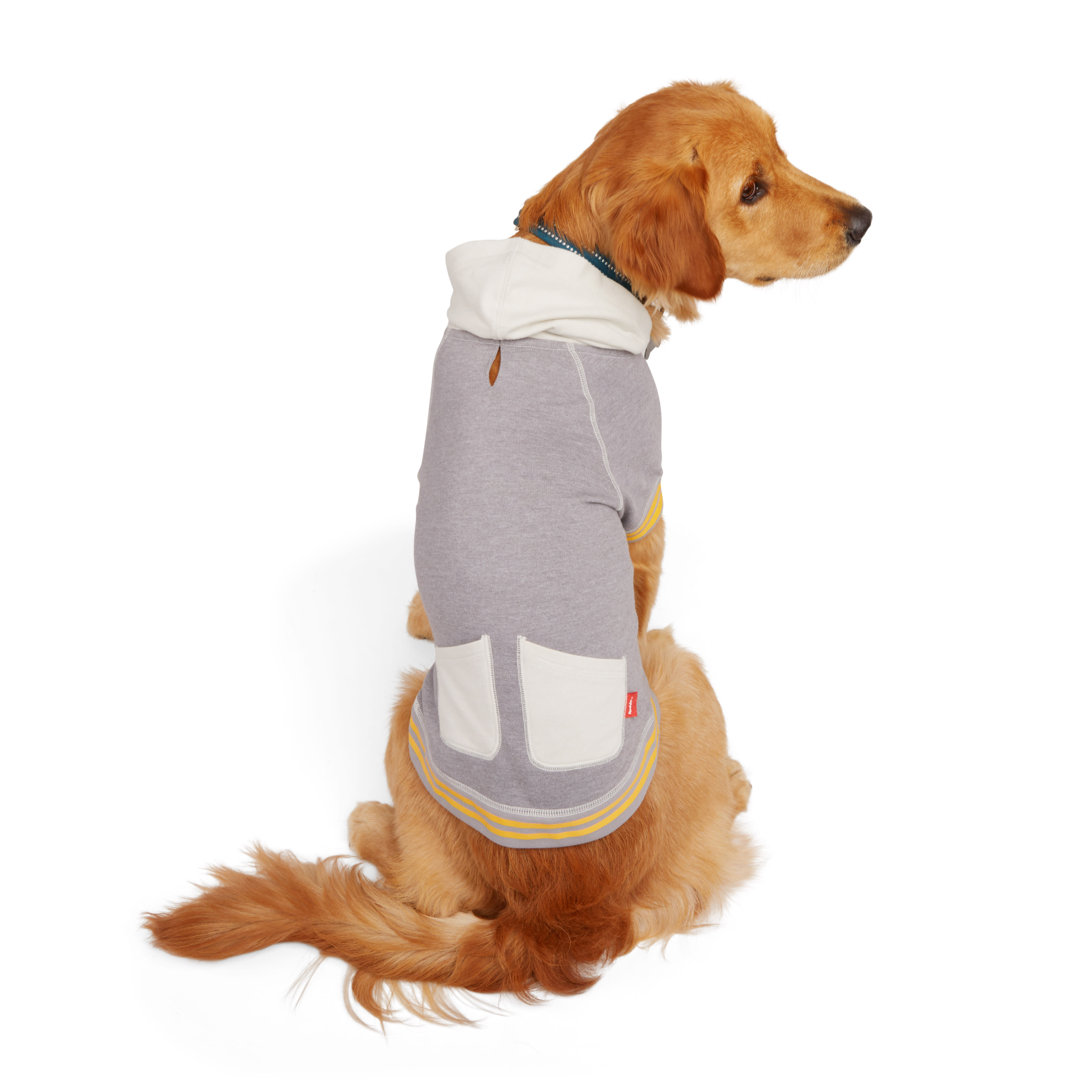 Reddy best sale raincoat dog