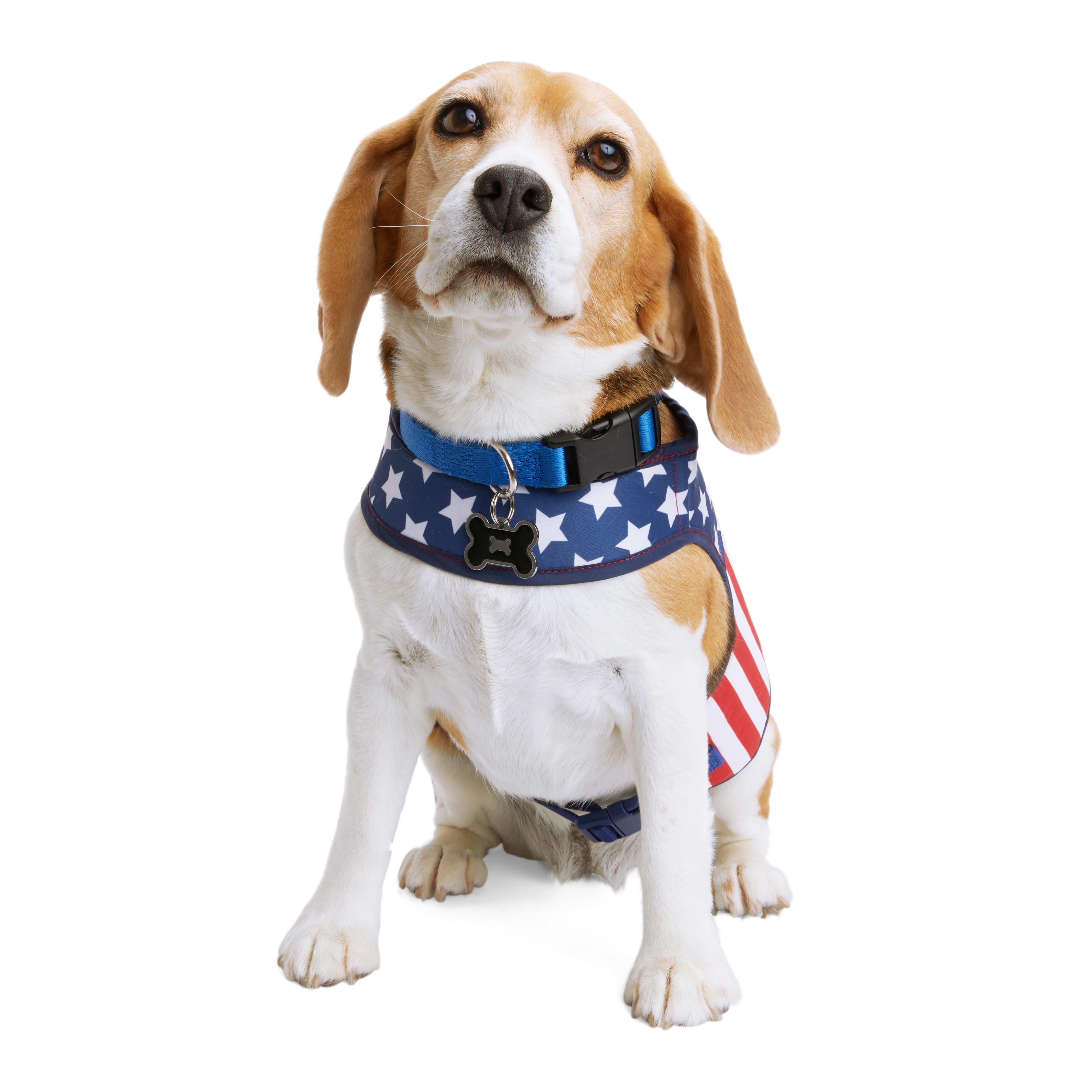 Stars And Stripes Patriotic Dog Collar 