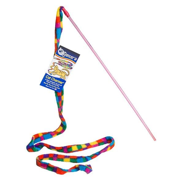 cat dancer rainbow cat charmer