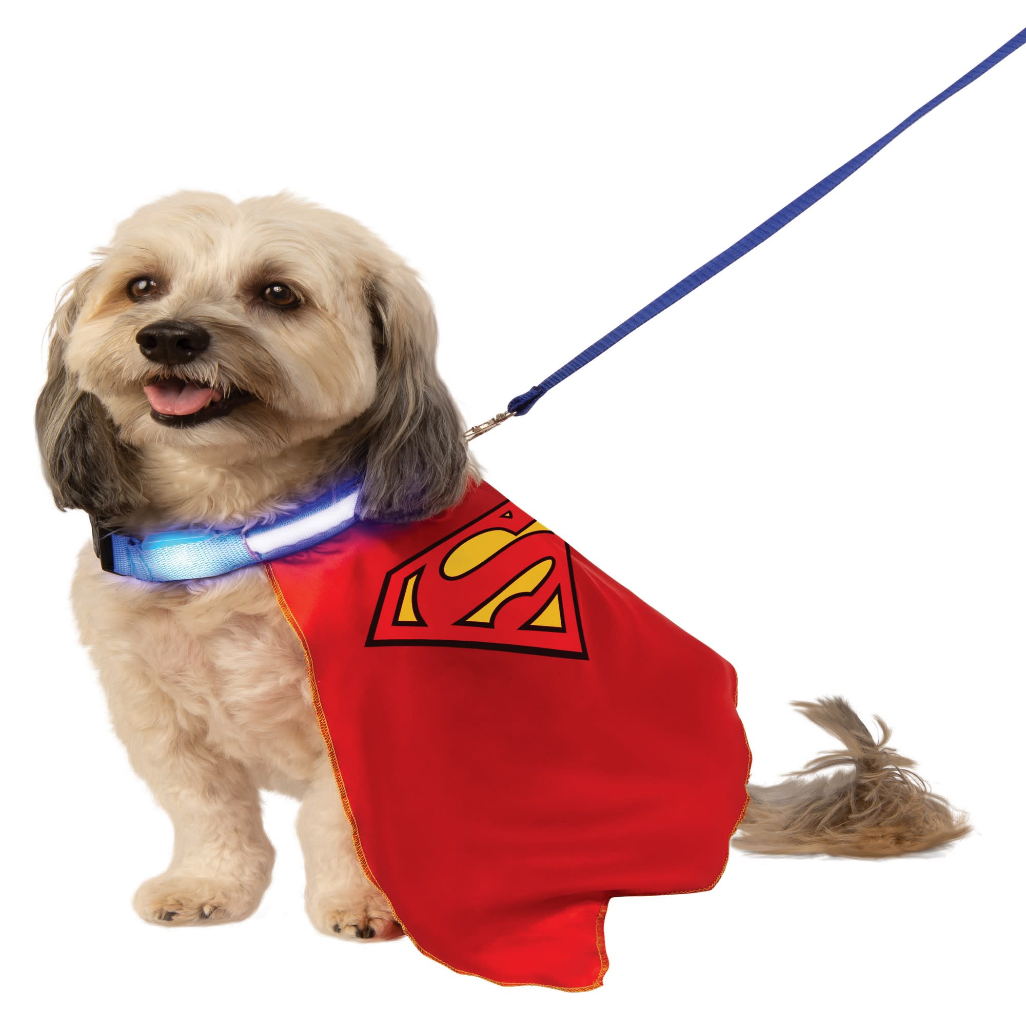 UPC 082686051392 product image for Rubie's Pet Shop Superman Cape with Light up Dog Collar and Leash, Medium | upcitemdb.com