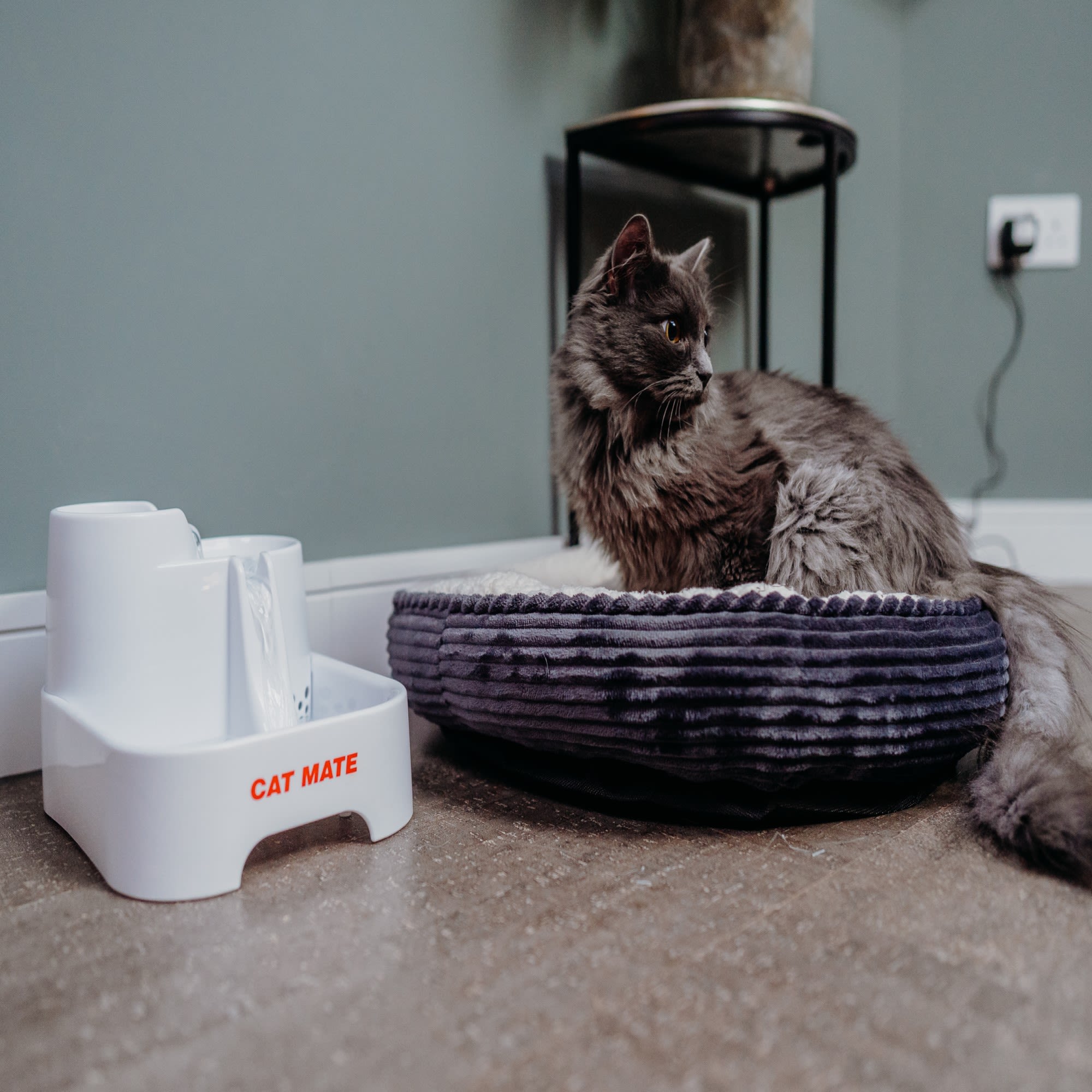 Cat mate fountain best sale