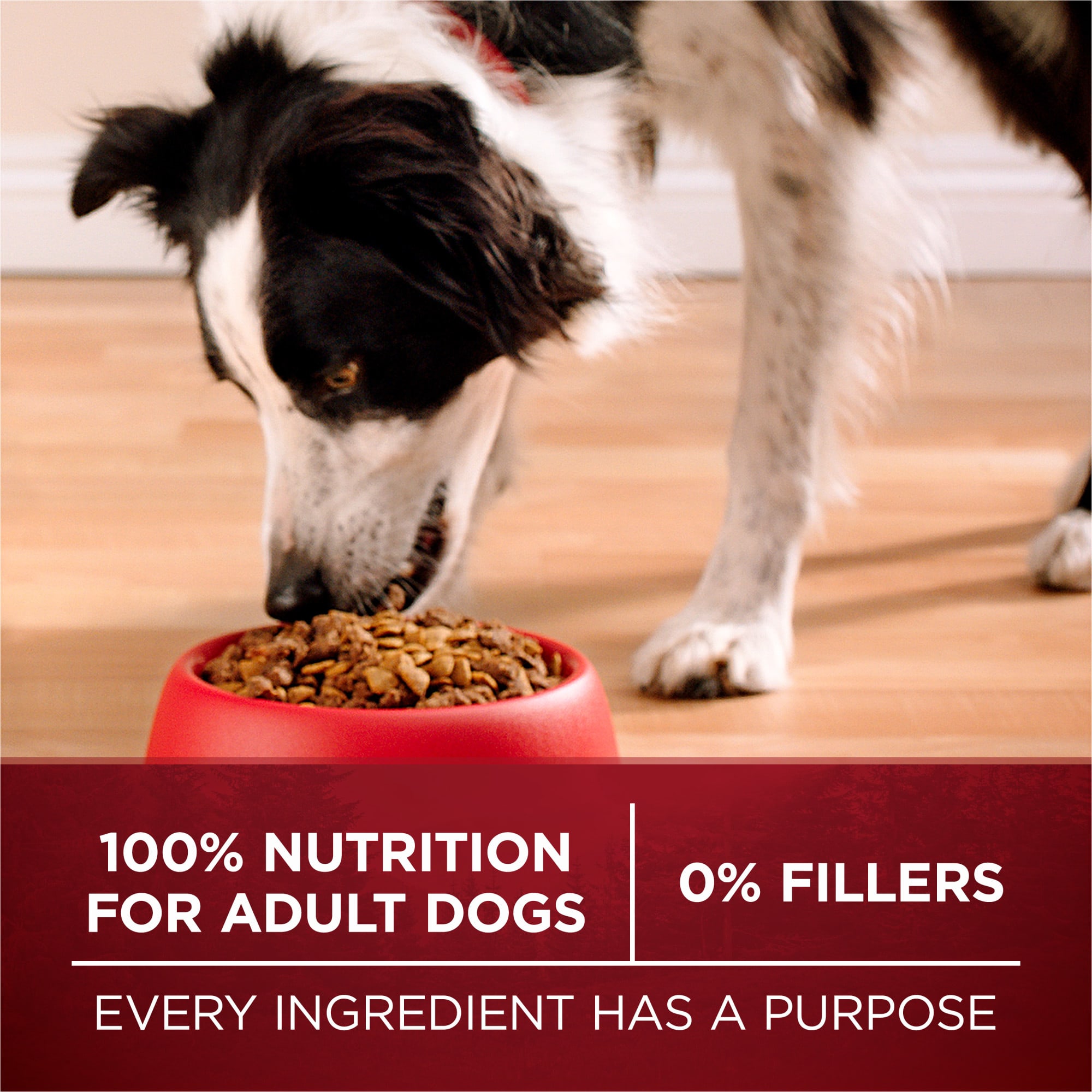 Purina ONE True Instinct With A Blend of Real Turkey and Venison