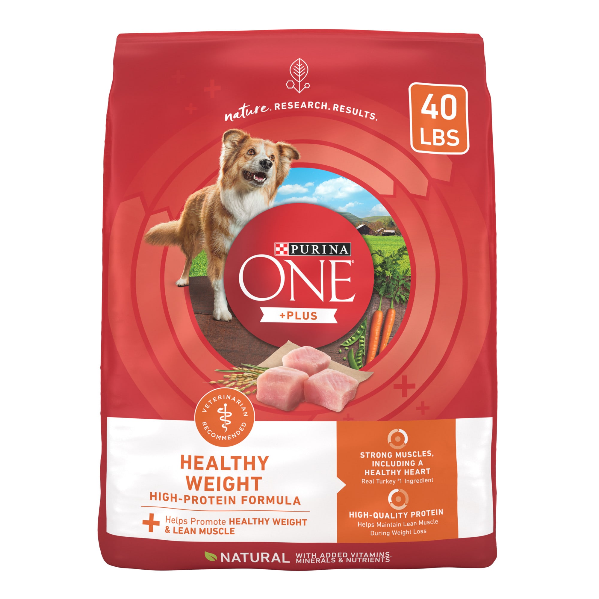 Petco purina one cheap dog food