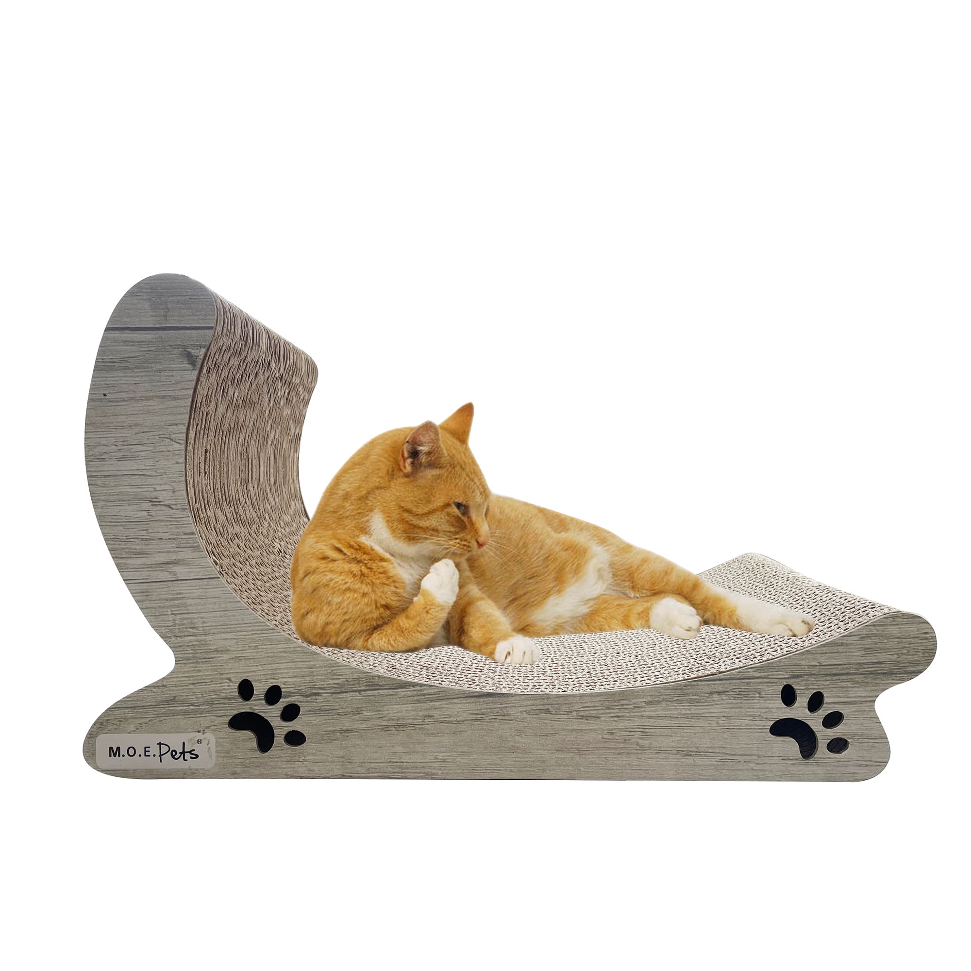 Petco cat outlet scratcher