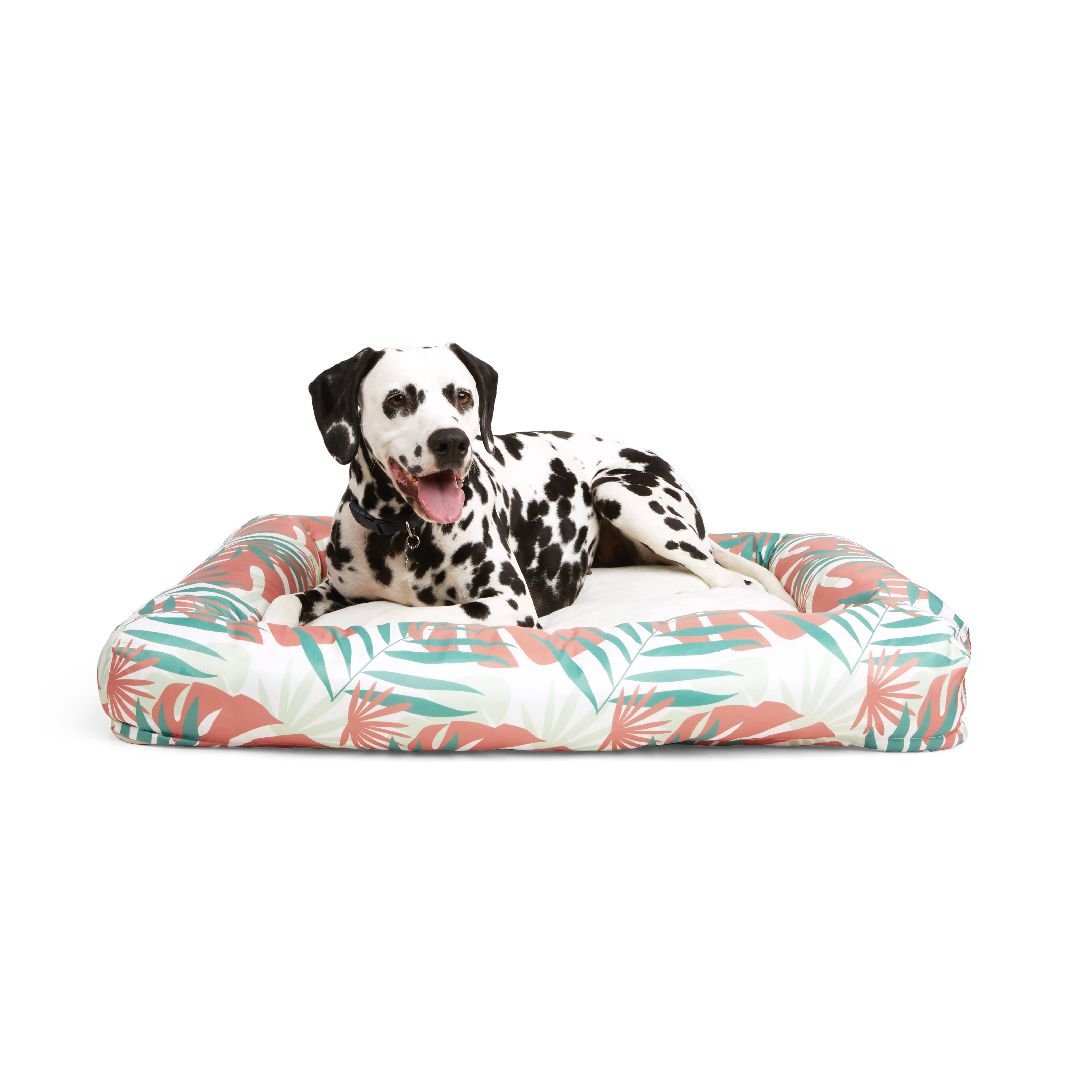 EveryYay Snooze Fest Bolster & Mat Dog Bed Large 40"x30"