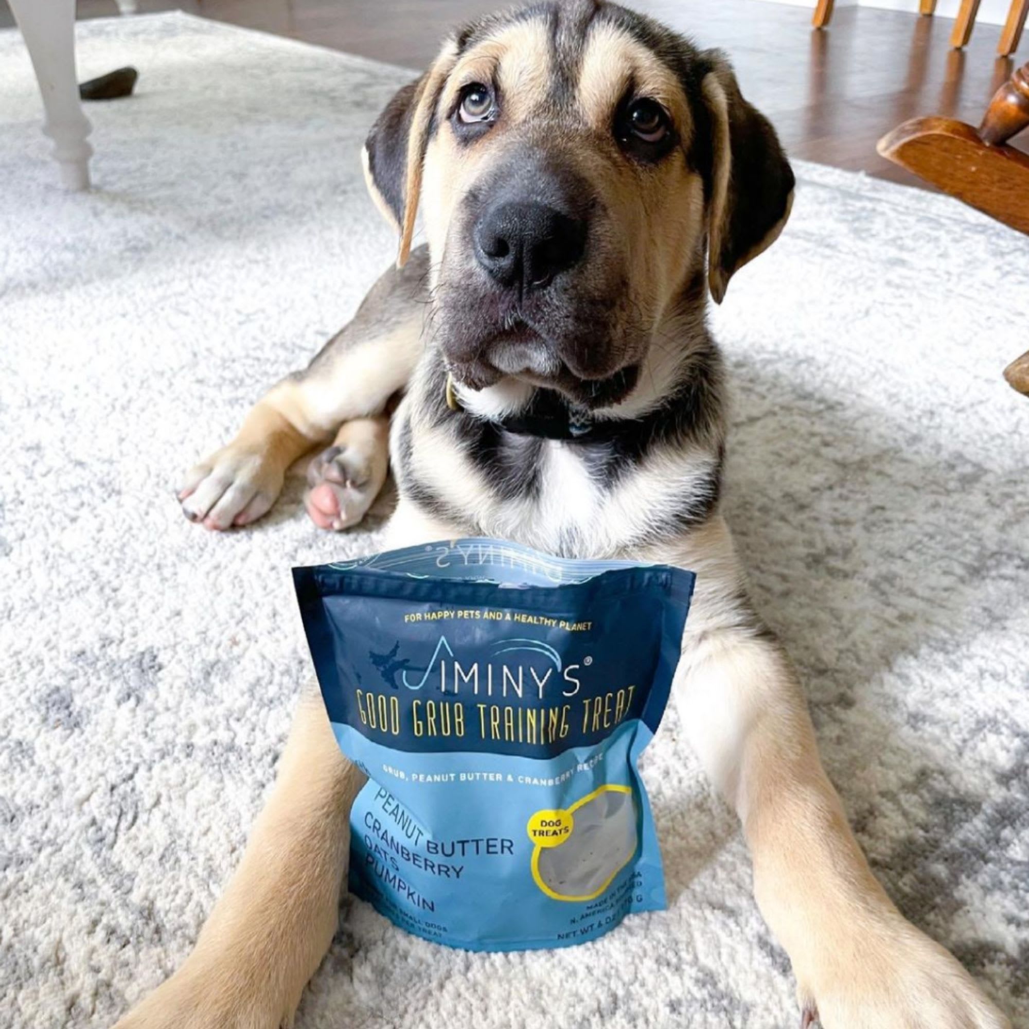 Jiminy's Peanut Butter Cranberry Dog Treats Petco