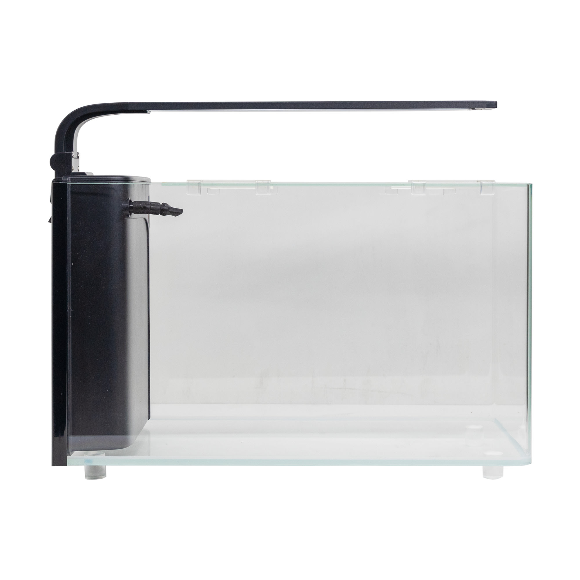 Petco rimless tank hotsell