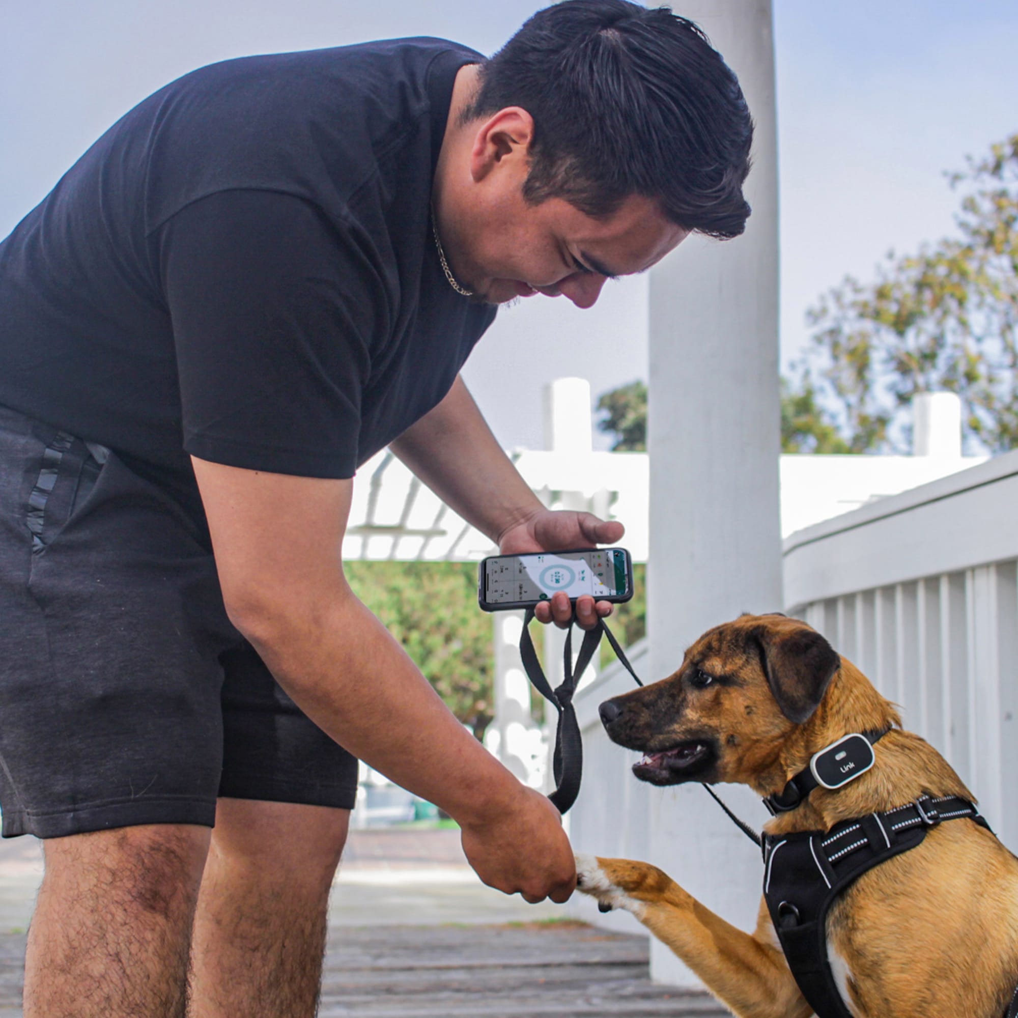 Petco 2025 dog tracker