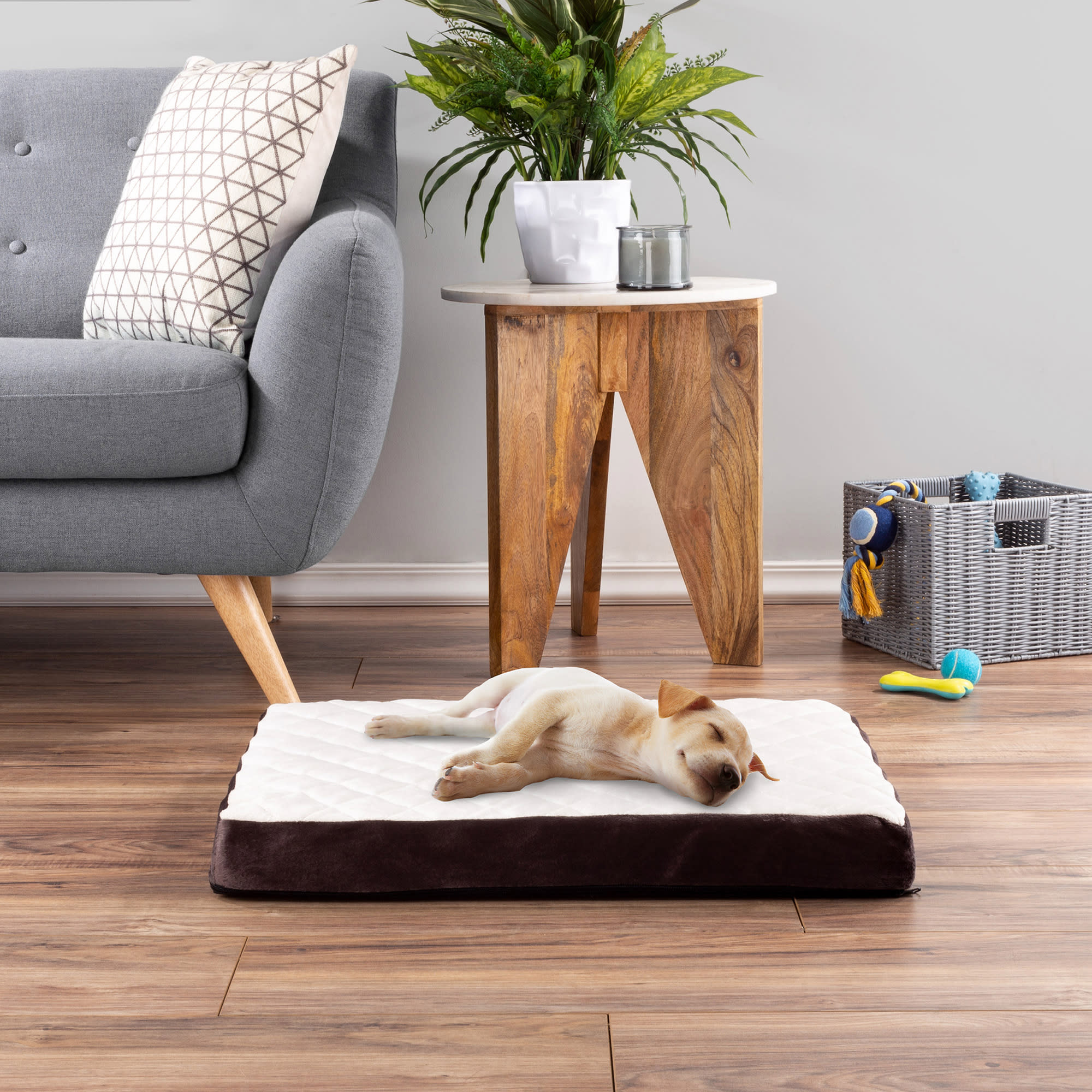 Pet Adobe White Egg Crate Foam Pet Bed, 26" L X 19" W X 2.75" H Petco