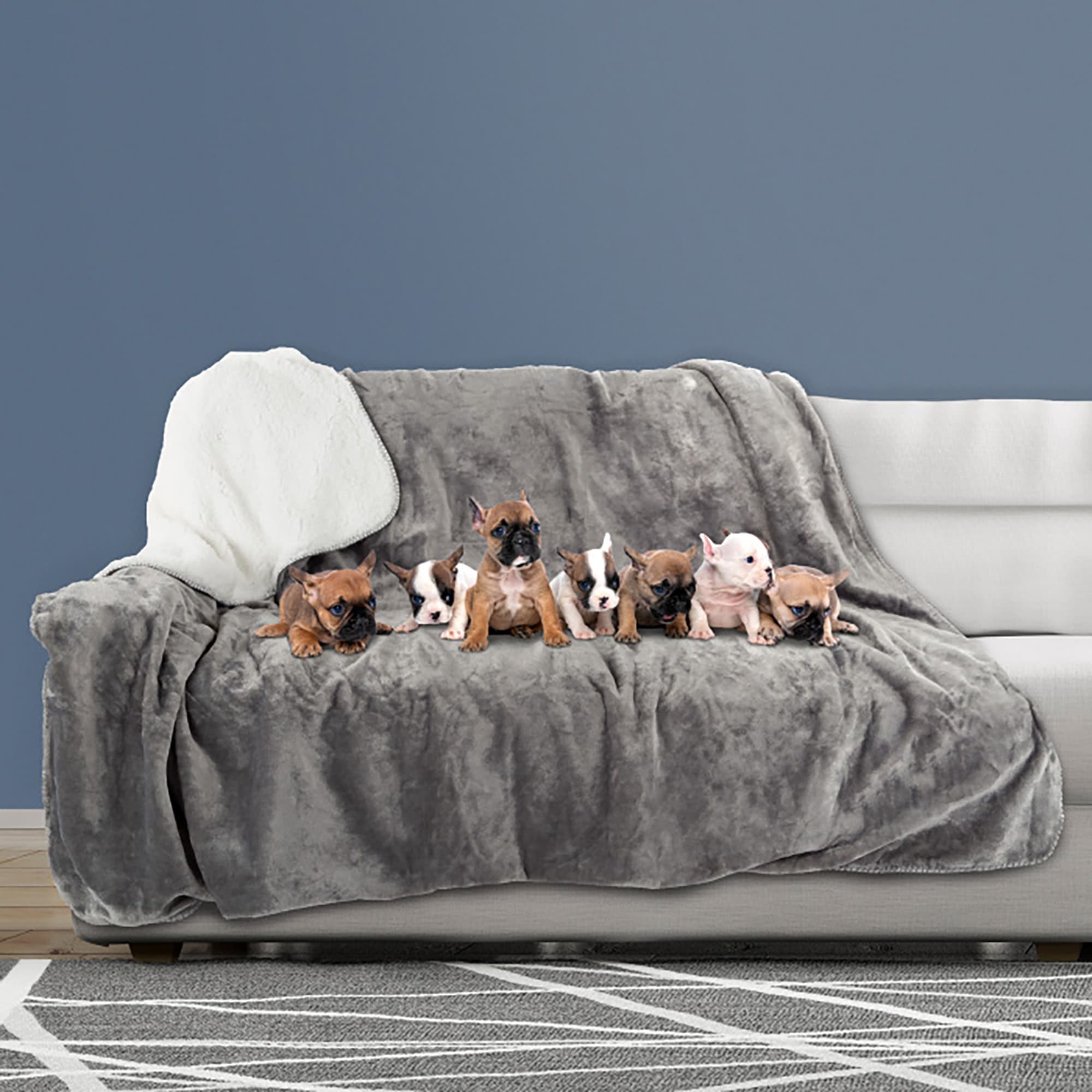 Waterproof dog best sale blanket for sofa