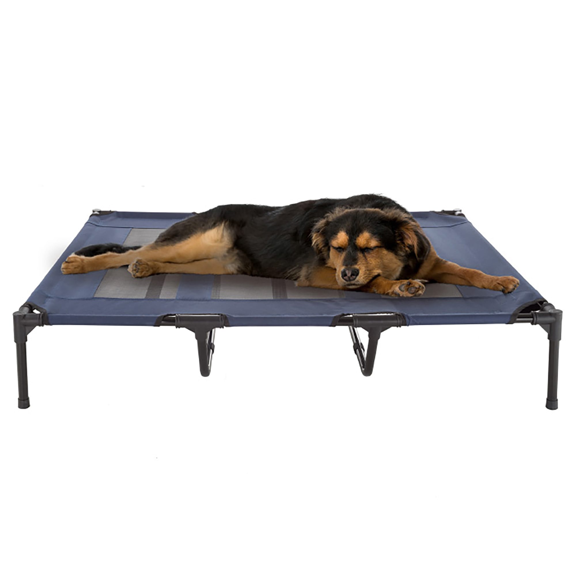 Pet Adobe Cot-Style Elevated Pet Bed, 48" L X 35.5" W X 9" H, Navy | Petco