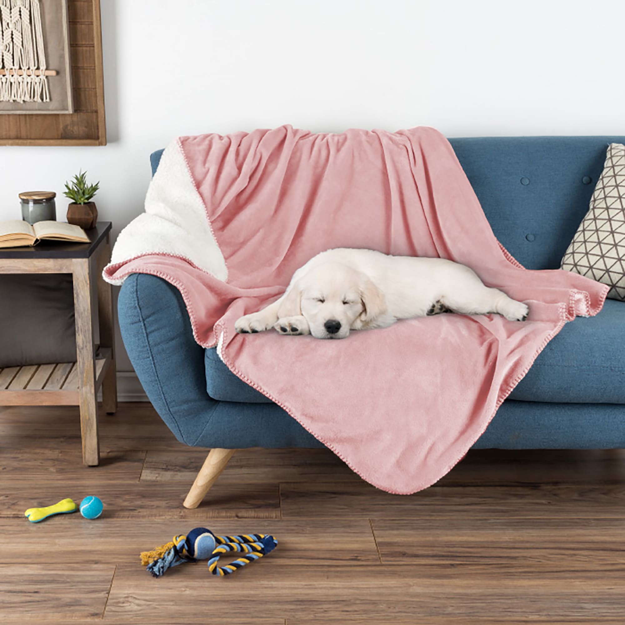 Pet throw blanket best sale