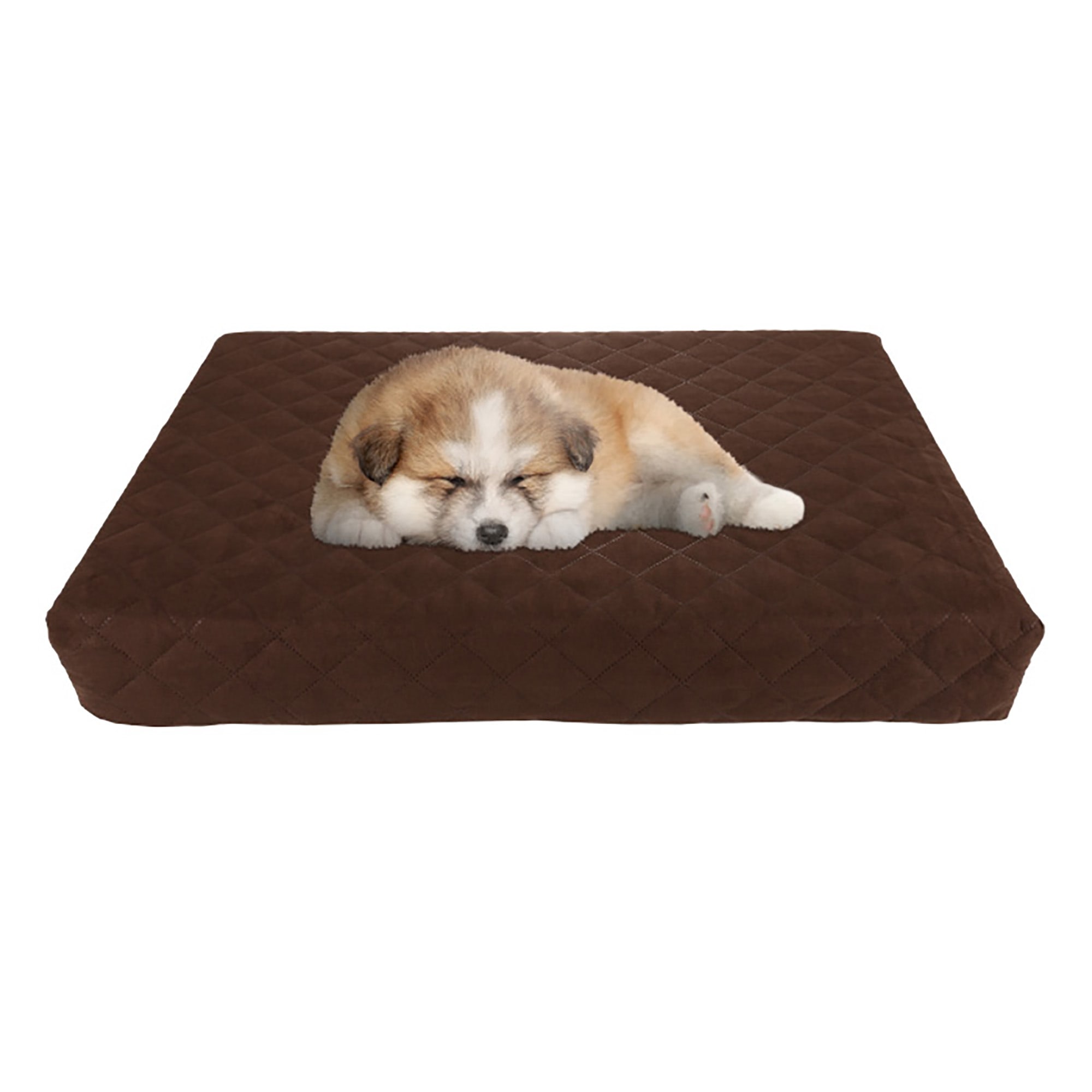 Petco extra large dog beds best sale