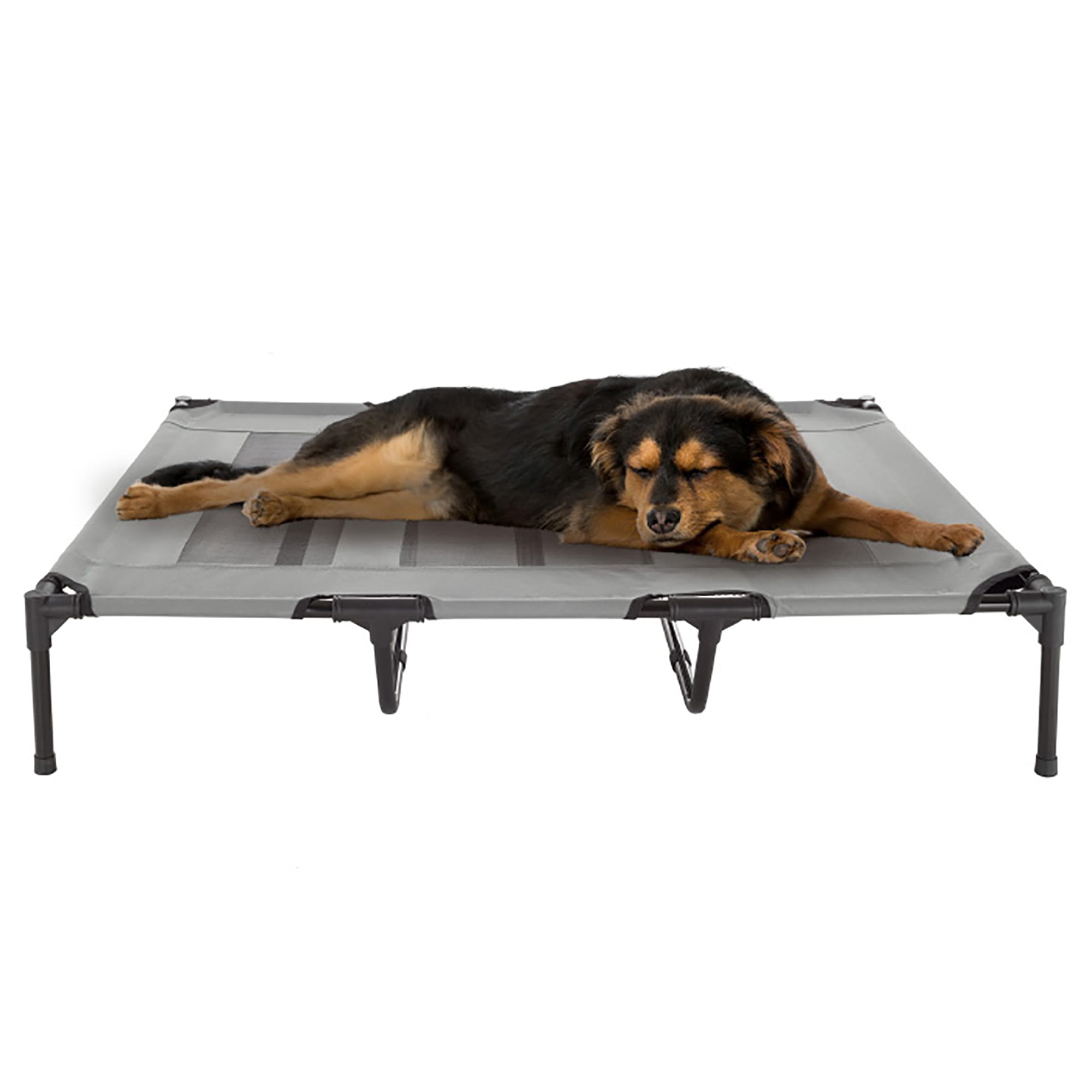 Pet Adobe CotStyle Elevated Pet Bed, 48" L X 35.5" W X 9" H, Gray Petco