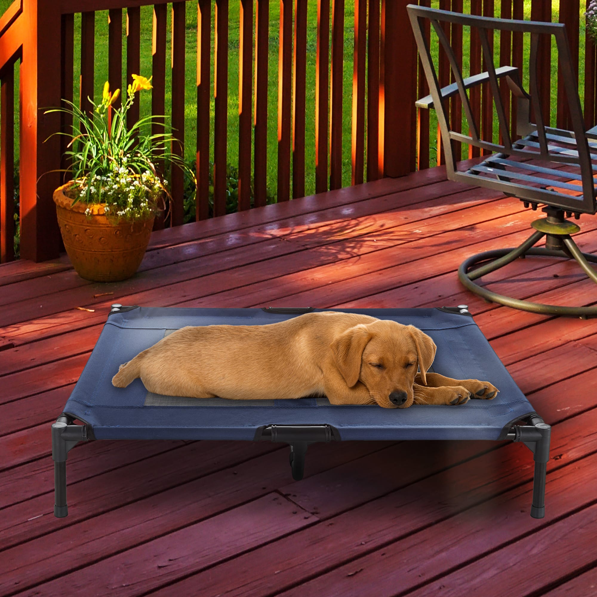 Petco elevated 2024 dog bed