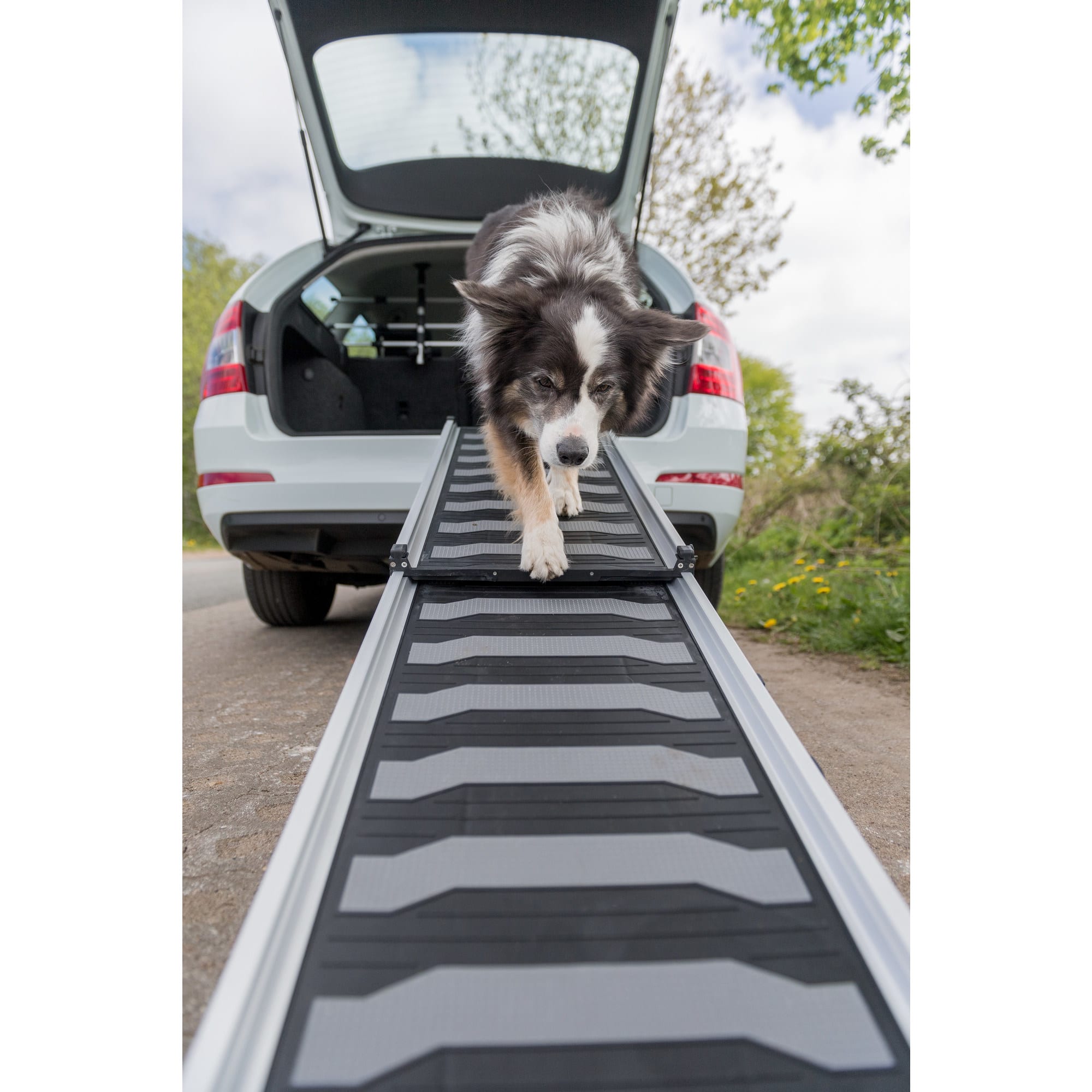 TRIXIE Heavy Duty Telescoping Pet Ramp for Large Dogs Outdoor