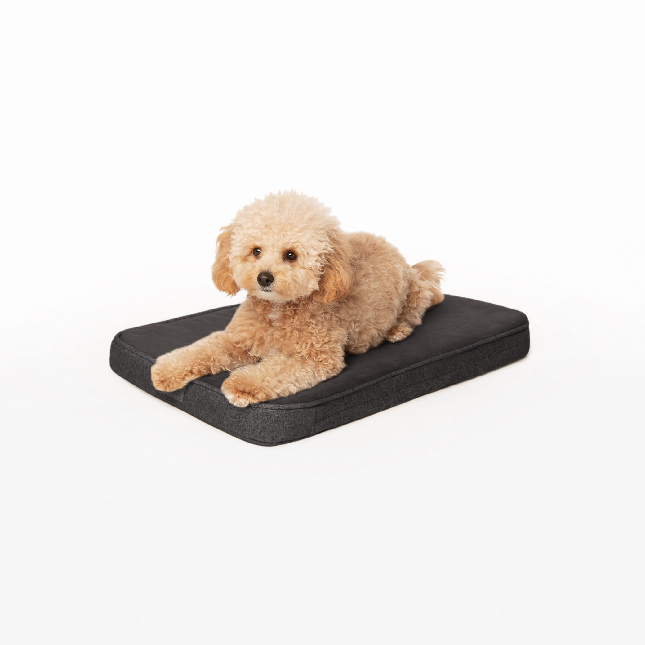 Rectangular Tear-Resistant Dog Bed Cushion : Get 20% Off