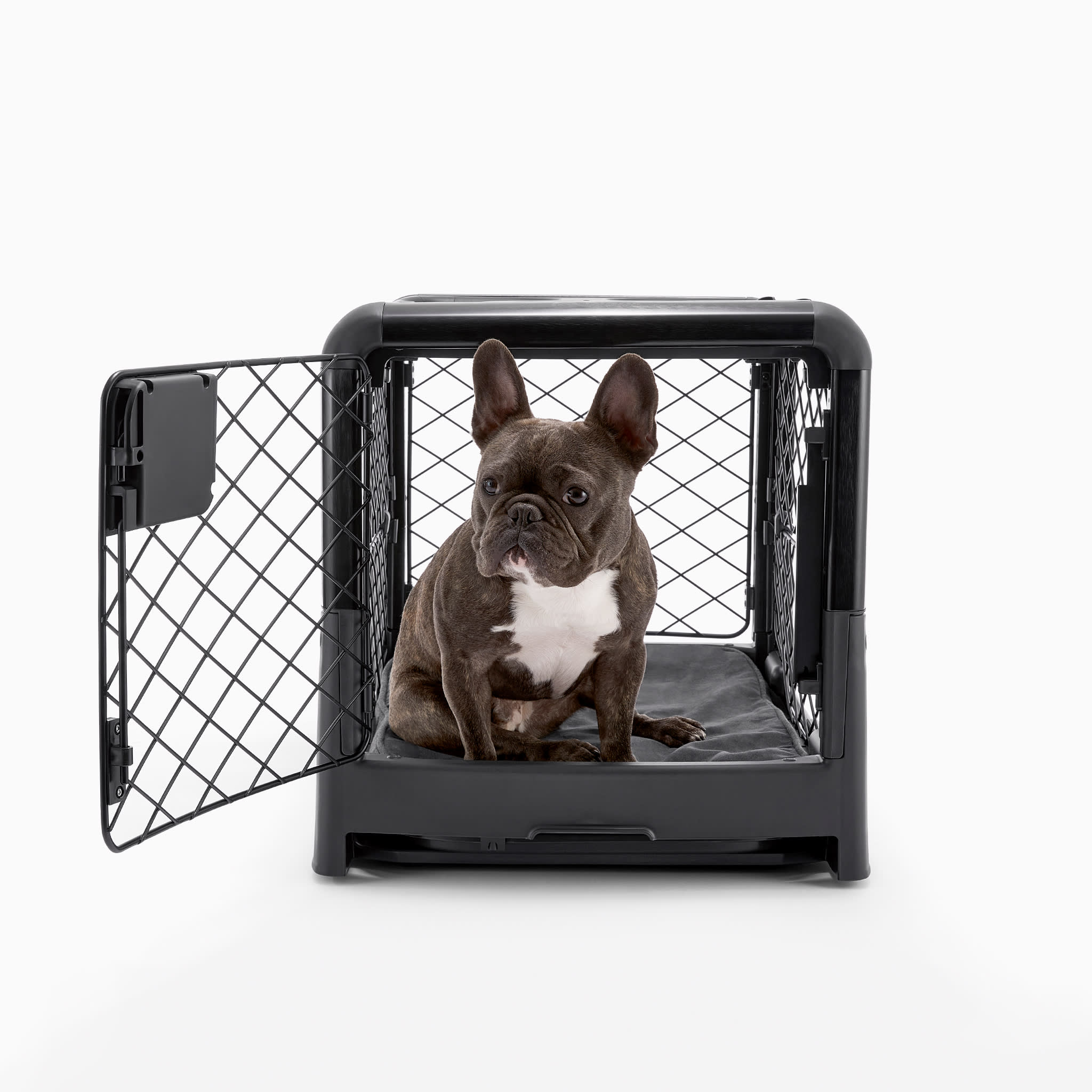 EveryYay Going Places 1-Door Folding Dog Crate, 36 L X 22.5 W X 24.9 H