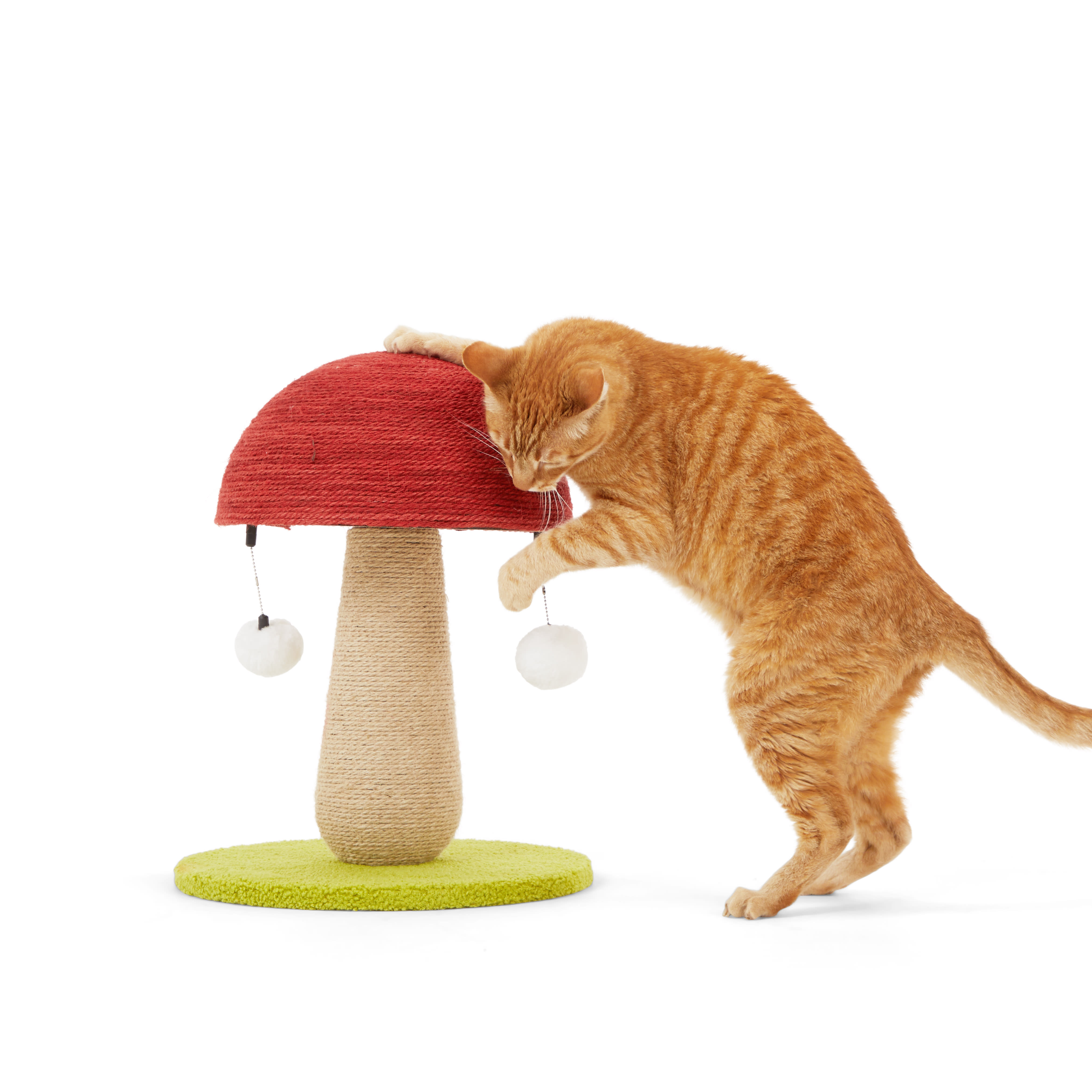 Cat toys best sale scratching posts