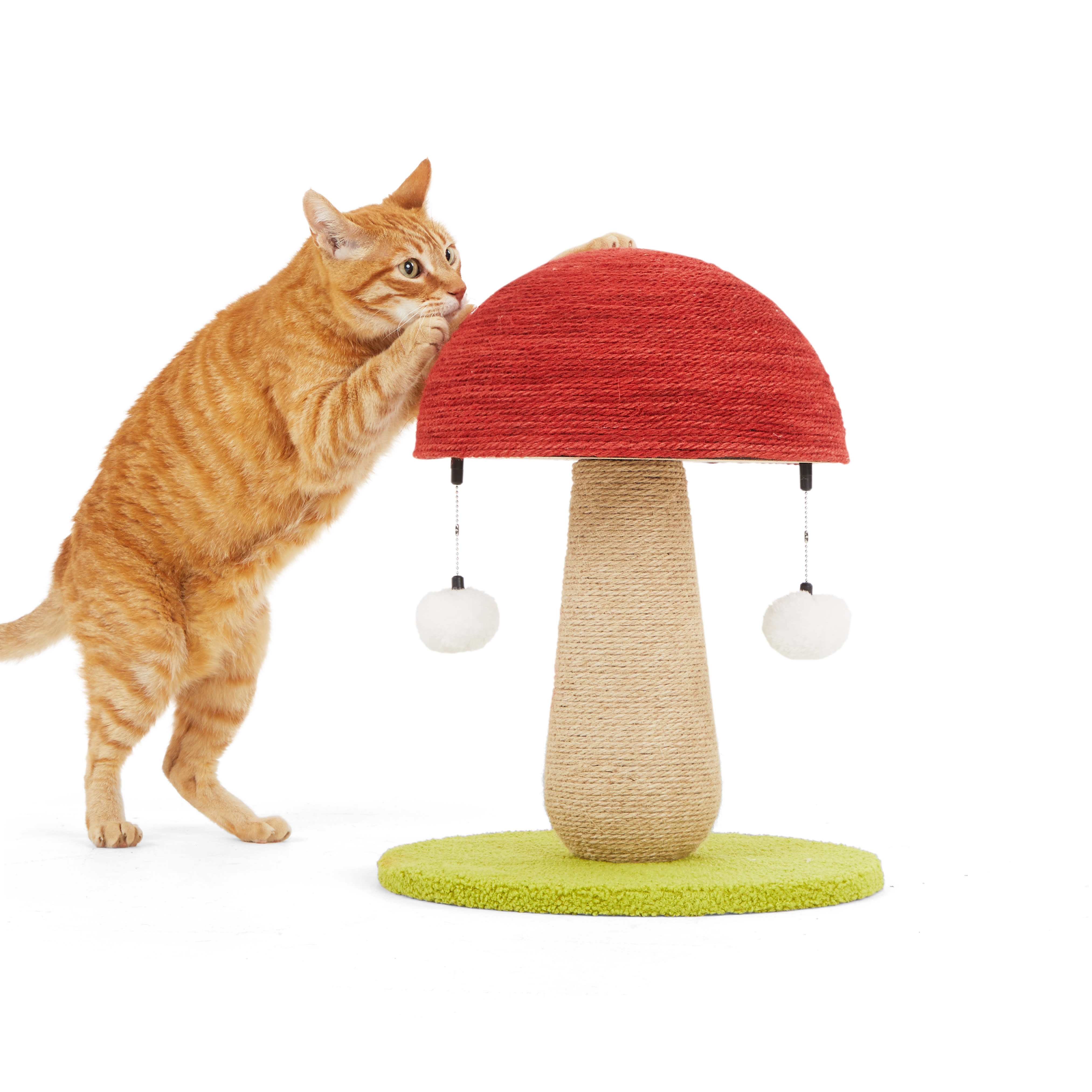 Petco cat shop scratching posts