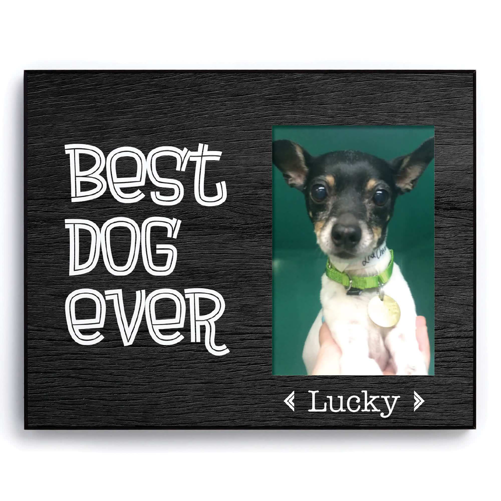 Custom Personalization Solutions Best Dog Ever Personalized