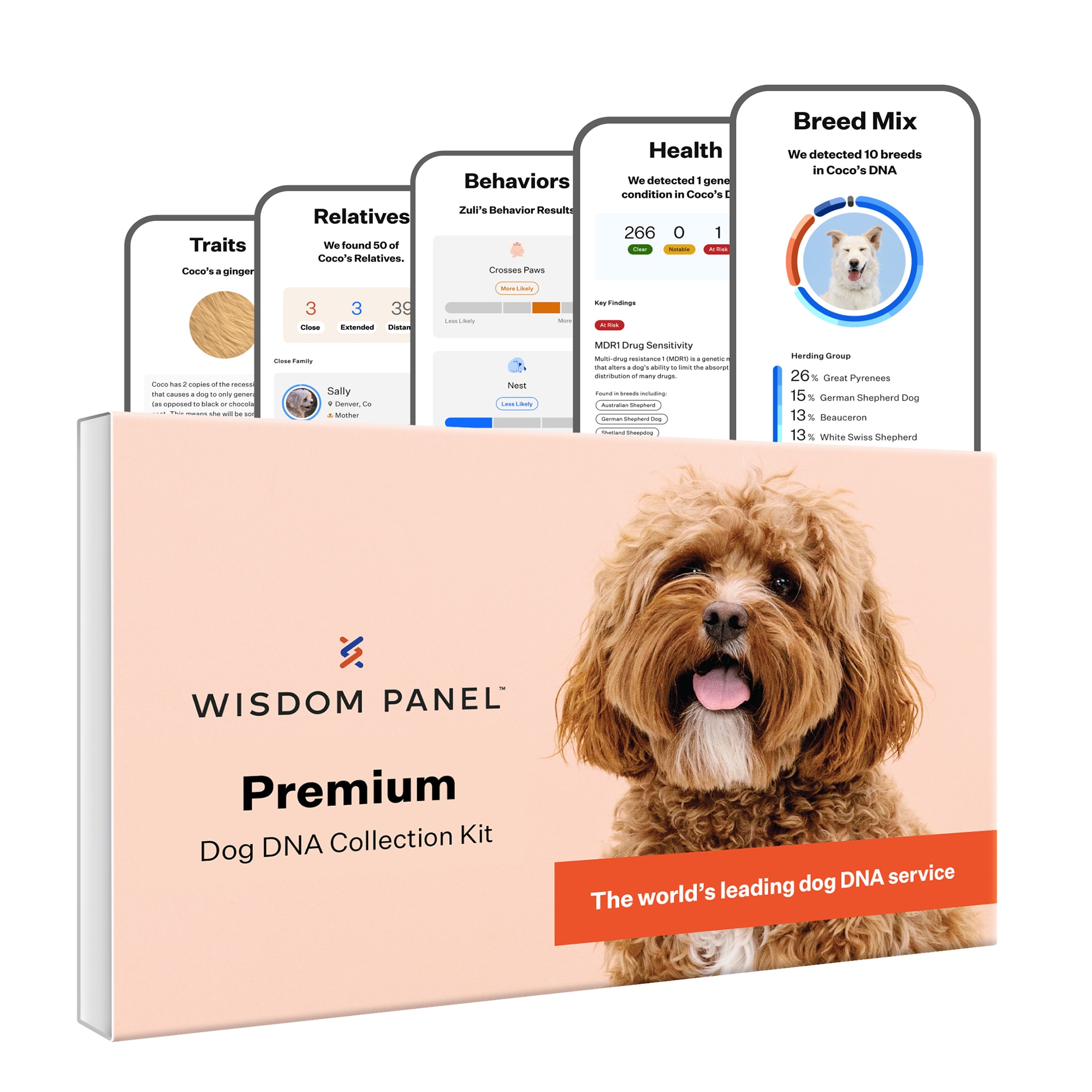 Wisdom Panel Premium Breed Health Condition Identification DNA