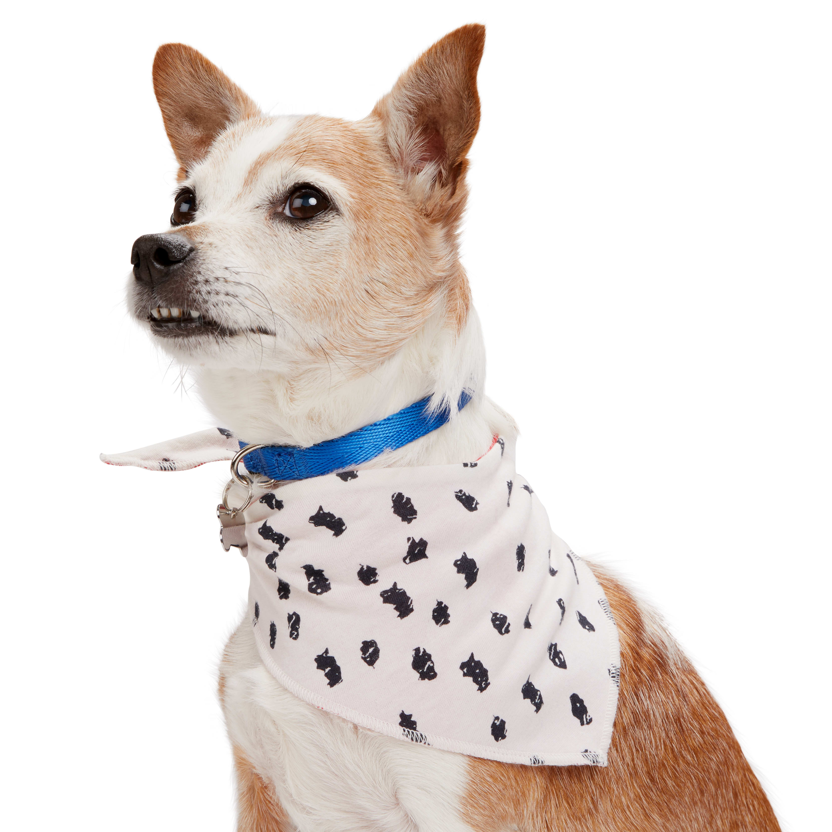 Small Pet Bandana – Mamili