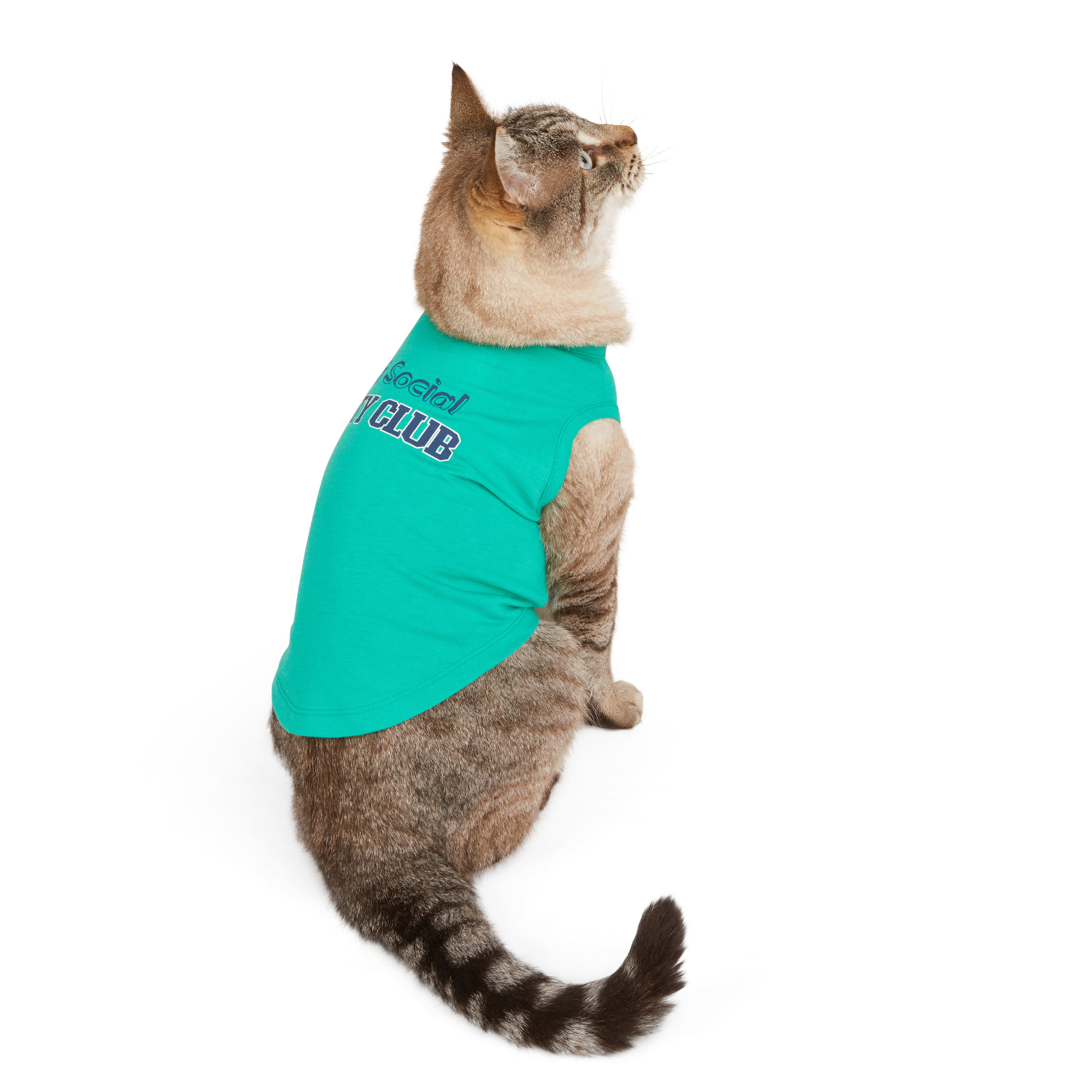 YOULY Very Purrticular Cat Tee