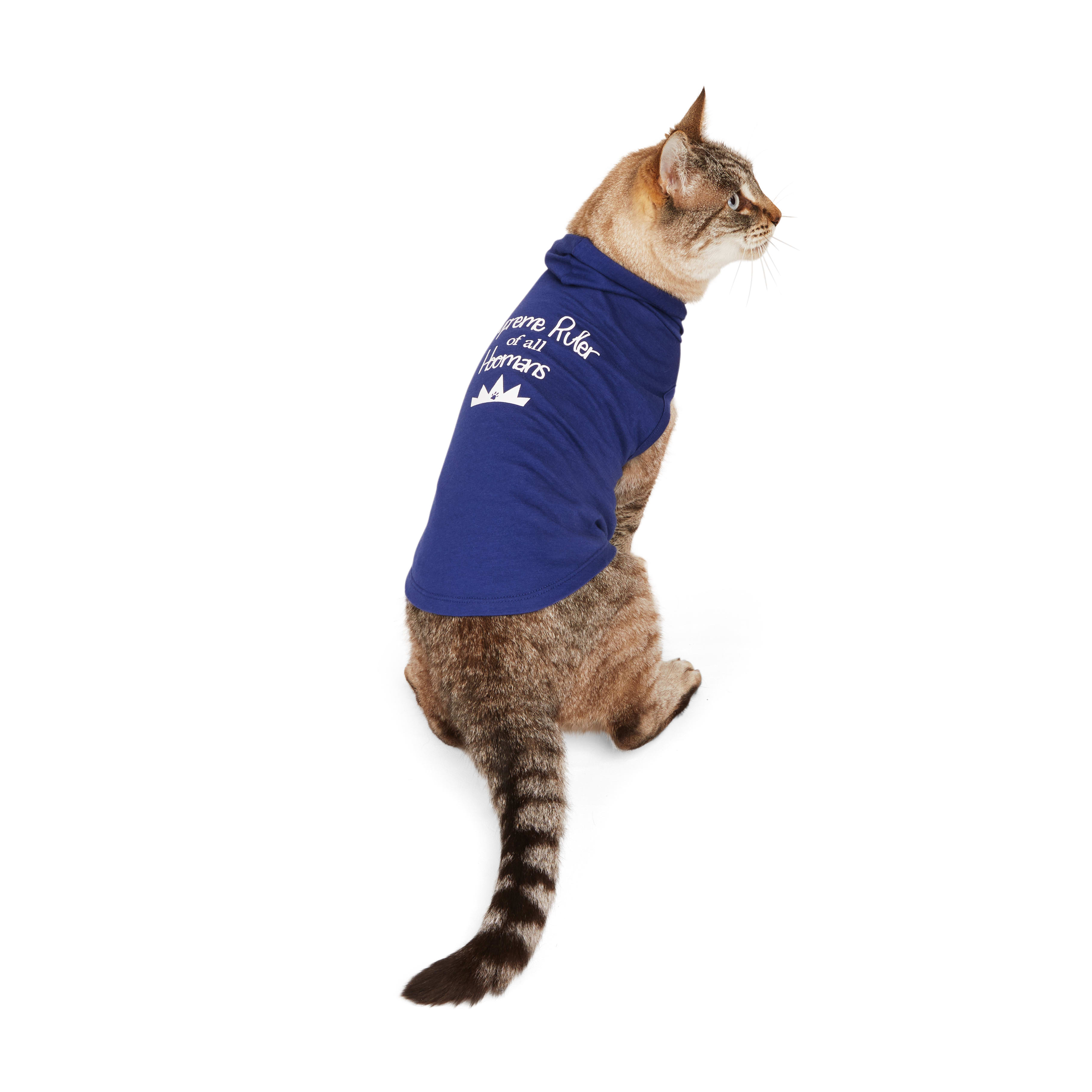 Petco 2025 cat clothes