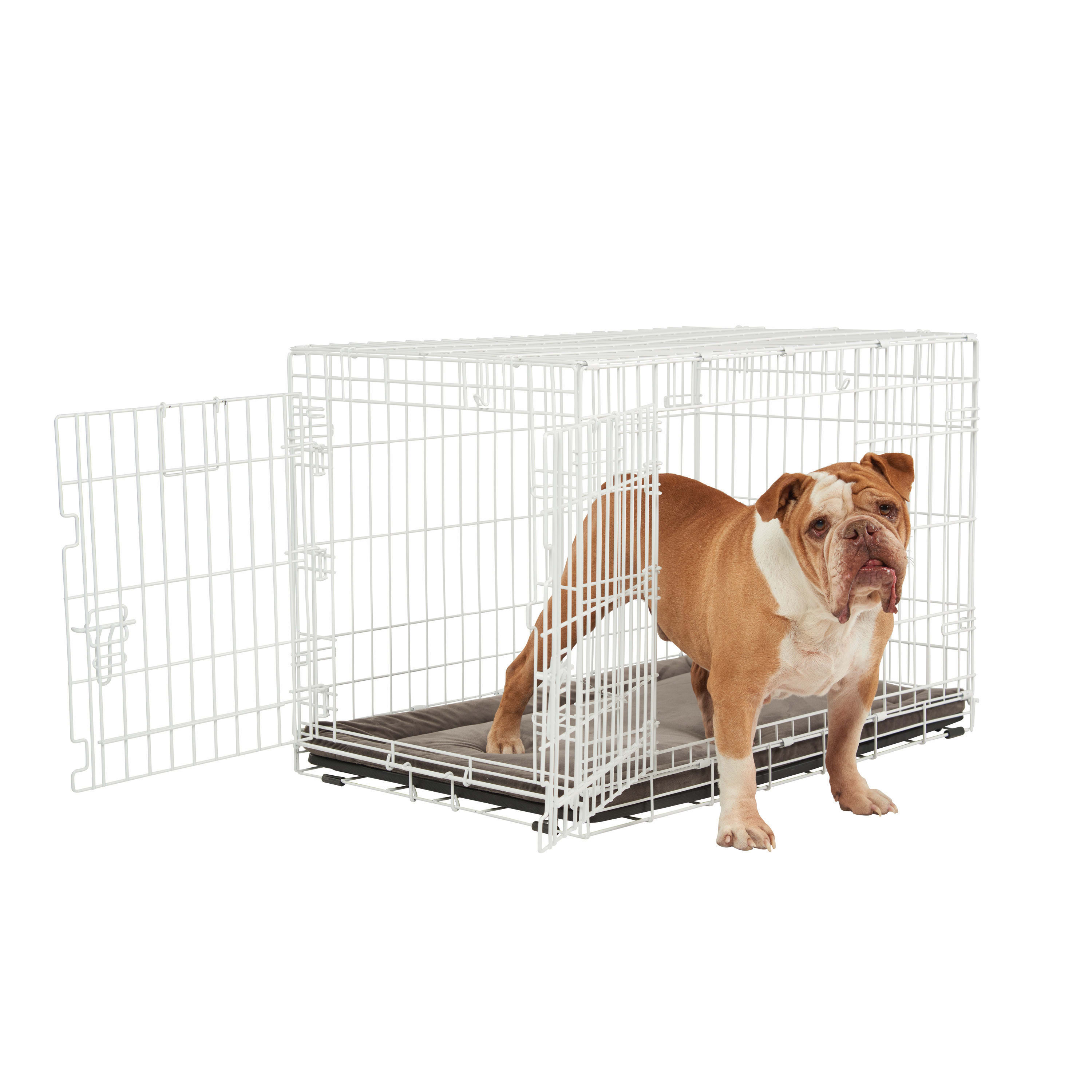 EveryYay White 2-Door Dog Crate, 36" L X 23" W X 24" H | Petco