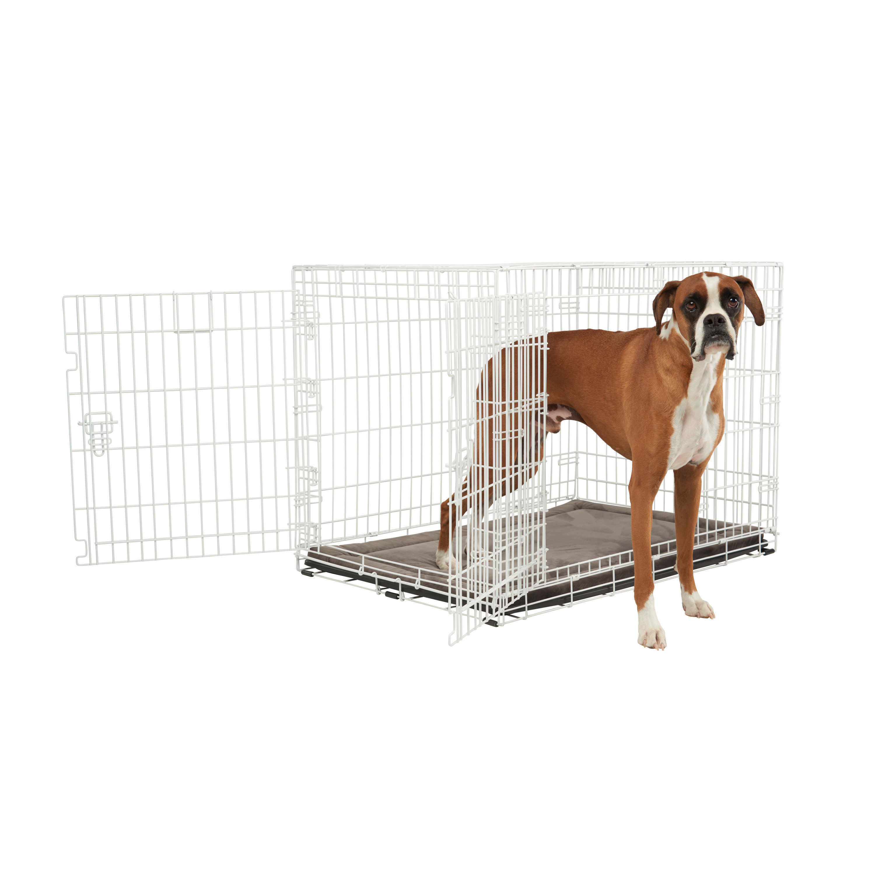 EveryYay White 2 Door Dog Crate 24 L x 17 W x 19 H