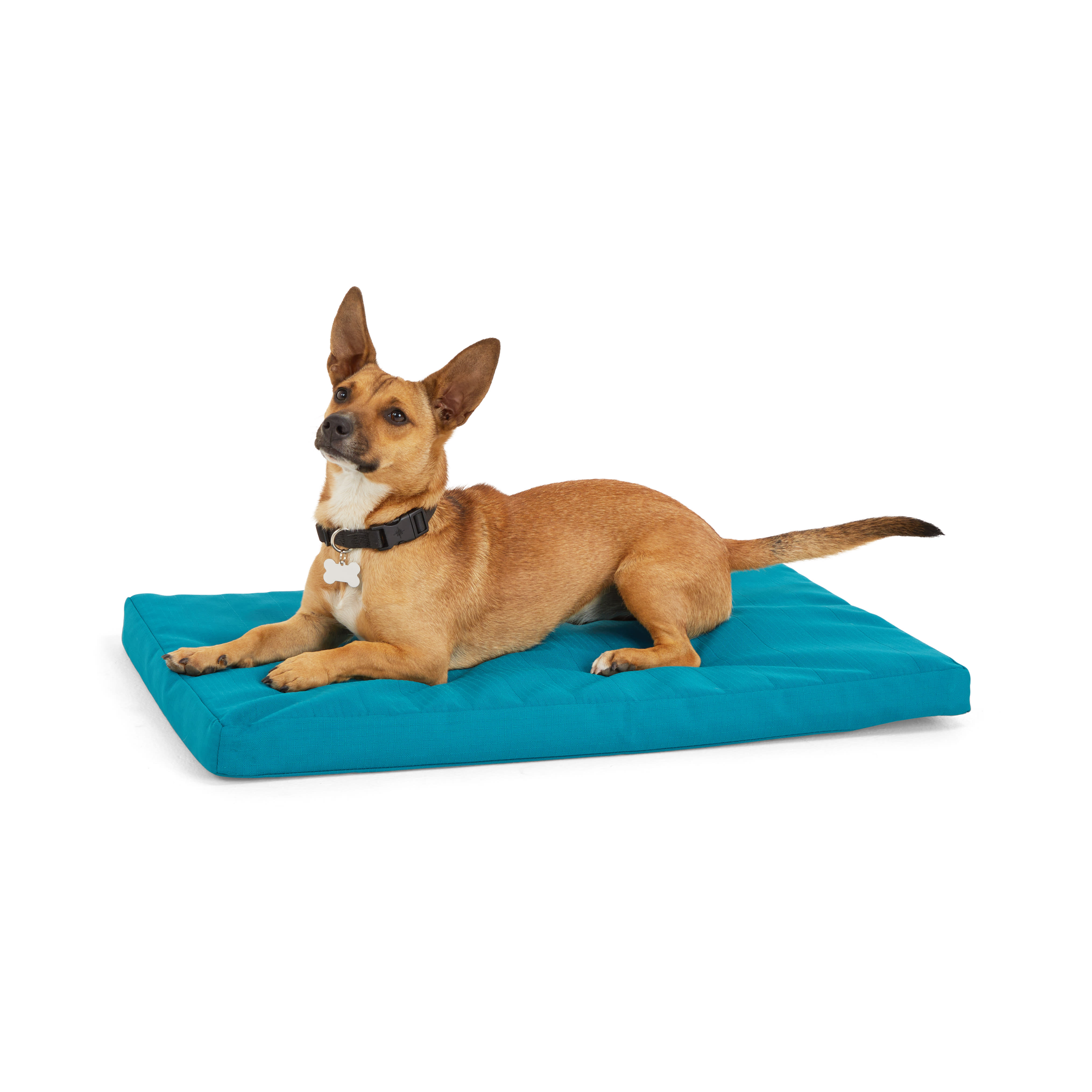 EveryYay Happy Place Blue Orthopedic Dog Mat, 16 L X 9 W X 2 H